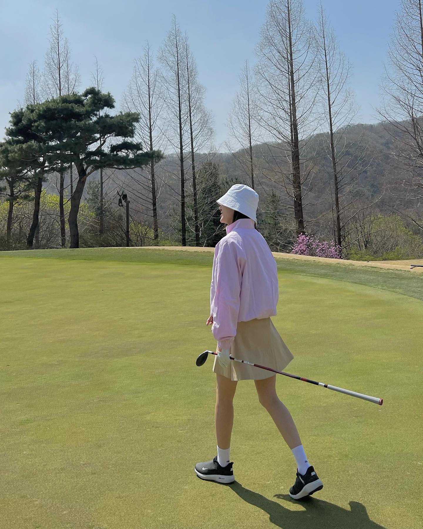 아이비 이미지
