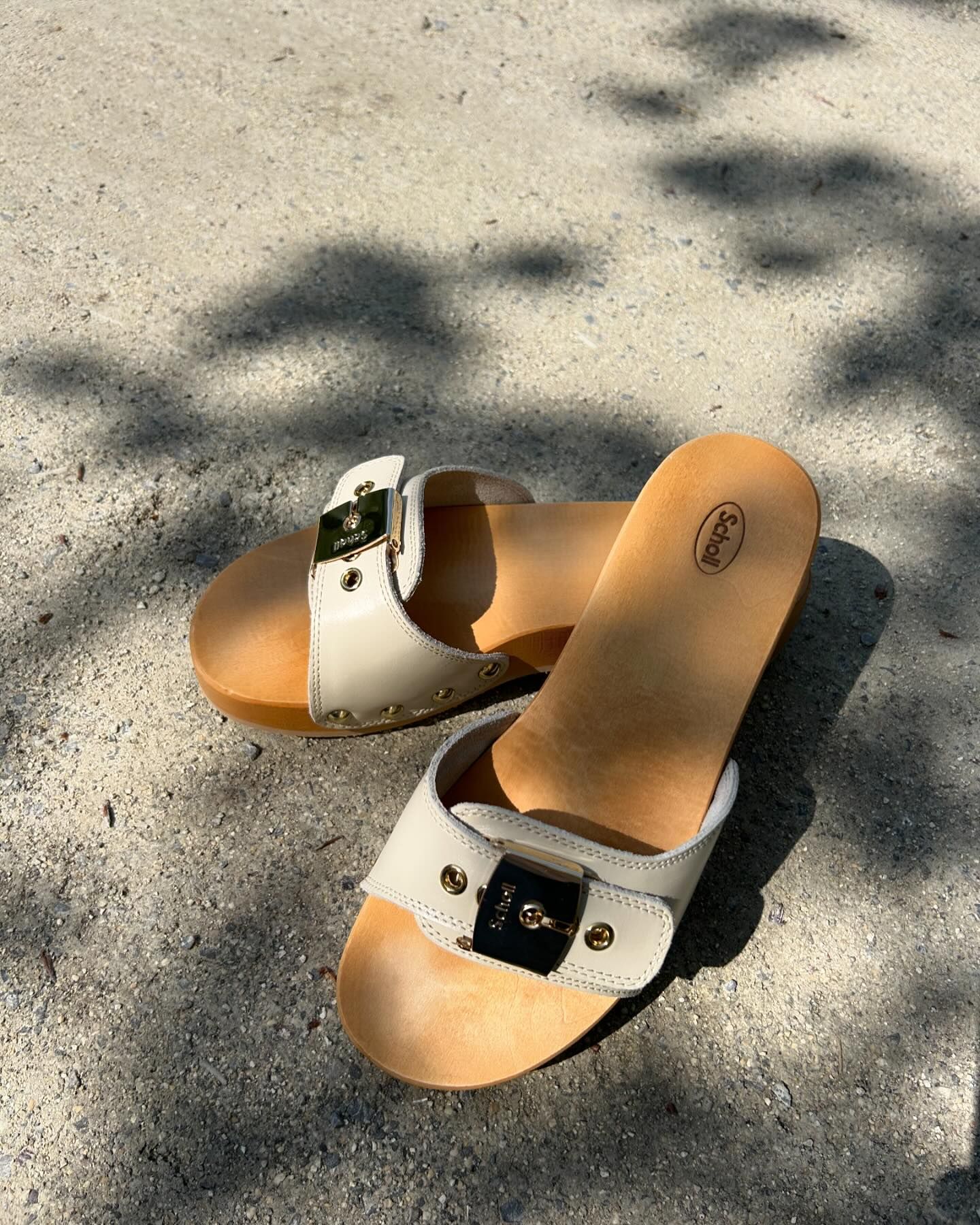 올여름엔 편안한 발걸음👣@숄👡

1899년 윌리엄 숄이 발 건강을 위해 평생을 바친 브랜드 숄(Scholl)이 탄생합니다. 숄은 100년 이상의 역사를 가진 신발 전문 브랜드로 혁신적인 기술과 디자인을 통해 전 세계인들에게 사랑받는 브랜드로 성장했습니다. 최고의 품질과 편안함을 자랑하는 숄은 발 건강을 위한 최첨단 기술과 디자인을 적용해 장시간 착용해도 편안하고 건강한 발걸음을 유지하도록 도와주는데요. 또한, 숄은 환경 보호에도 적극적으로 참여하고 있습니다. 지속 가능한 소재를 사용하고 생산 과정에서 발생하는 환경 영향을 최소화하기 위해 노력하며 사회와 환경에 책임 있는 기업임을 보여주고 있습니다.

슬라이드를 넘겨 숄의 클로그부터 힐까지 다양한 아이템을 확인해 보세요.🔍  이미지7