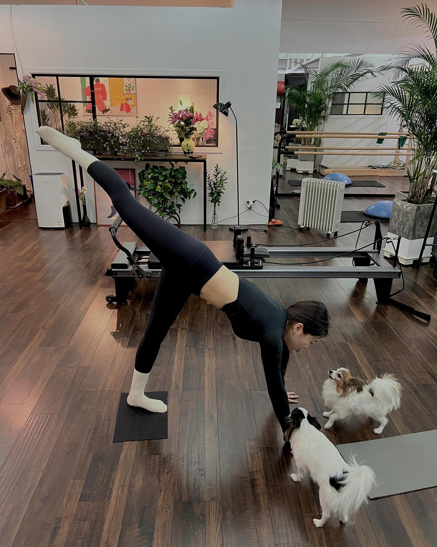 다이어트 자극 업!🔥셀럽 레깅스핏 이미지