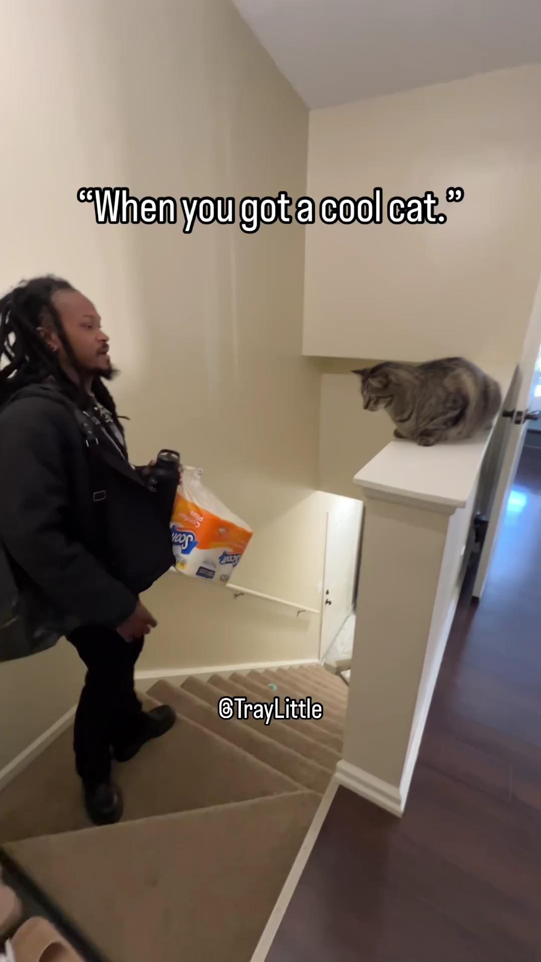 후드식 고양이🐈‍⬛인사는 쿨하게🤜🤛 이미지