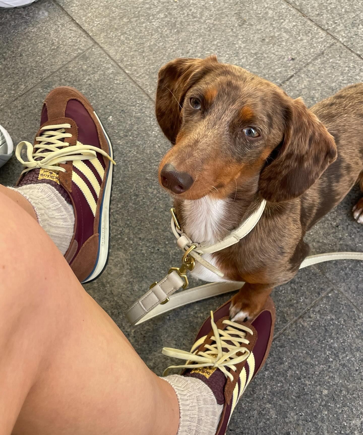 요즘 아디다스 신발🤎💚 SL 72
레트로 색감에 클래식 디자인👟 올여름 운동화로 추천가요💛 이미지