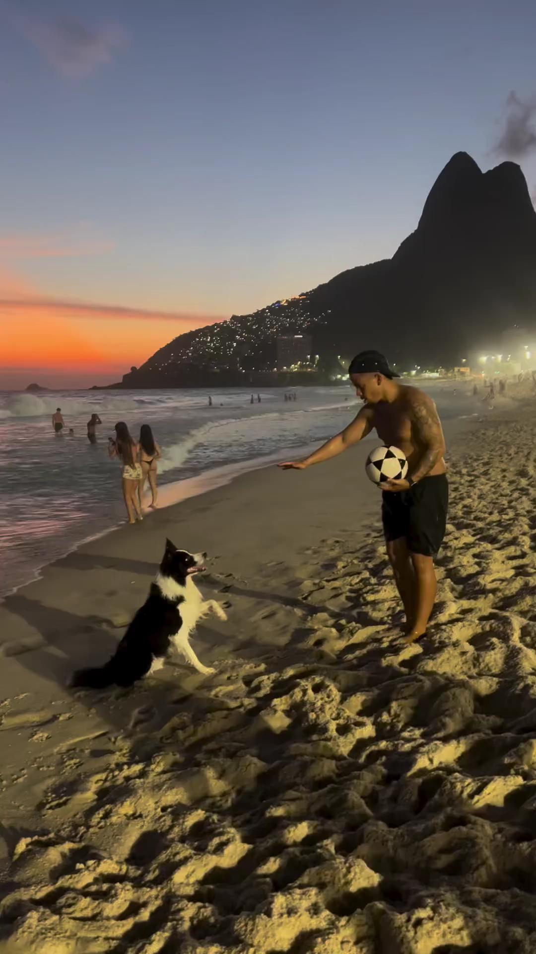 올여름 휴가 댕댕이와 함께🌅🐶 이미지