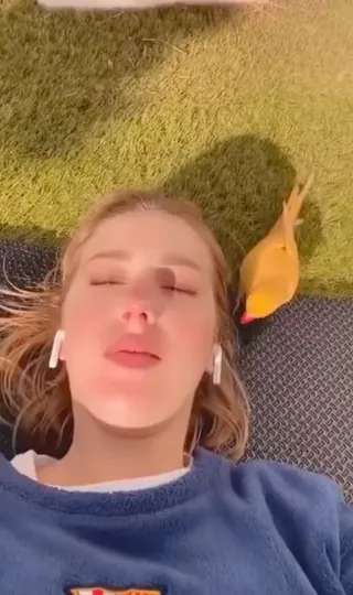 ??새한테 에어팟 뺏긴 썰 푼다🤦🏻♀️ 이미지