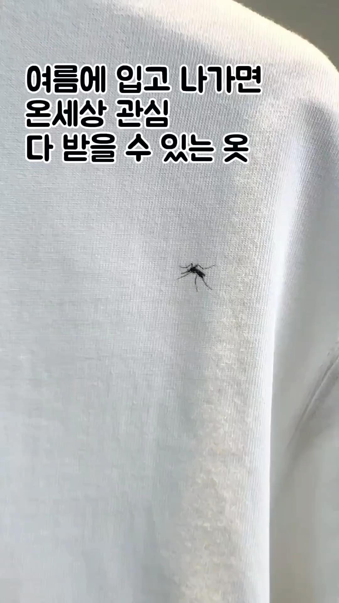 이건 레알 모기도 속겠다..🦟🤍
사고 싶다... 여름 인싸템으로 소장하고 싶음 이미지
