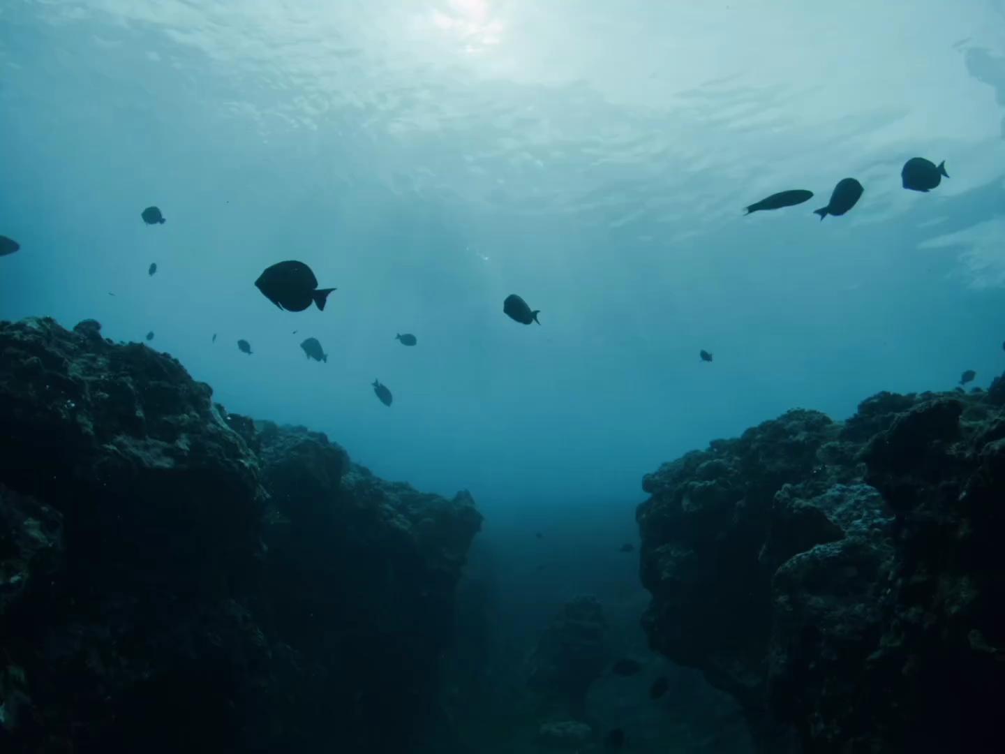 스투시 x 나이키 콜라보 떴다🌊
2024 협업 컬렉션을 티저 영상으로 먼저 만나보세요!
출시일은 7월 13일 오전 10시 (북미 및 유럽 7월 12일) 이미지