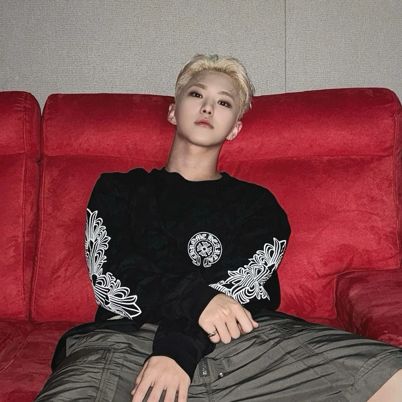 세븐틴 호시는 크롬매니아☠️🔥 이미지1