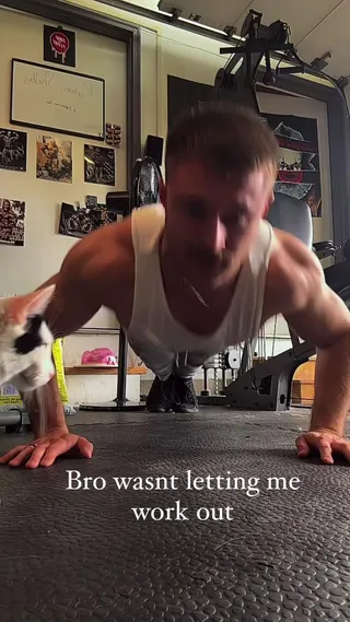 고양이로 하는 중량 푸쉬업💪🏻🐈 이미지