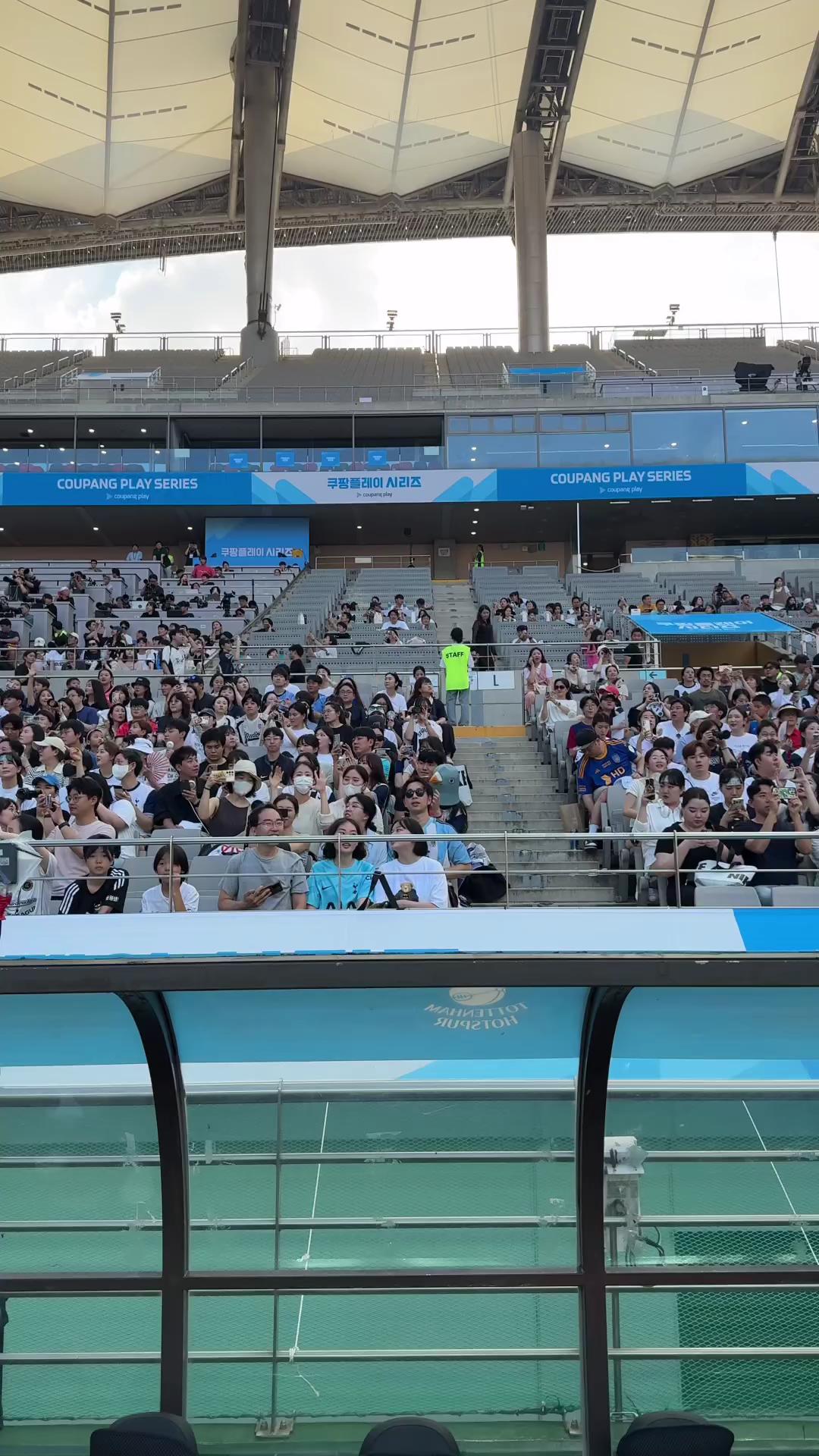 토트넘 오픈 트레이닝에 등장한 비둘기🐦⚽️ 이미지