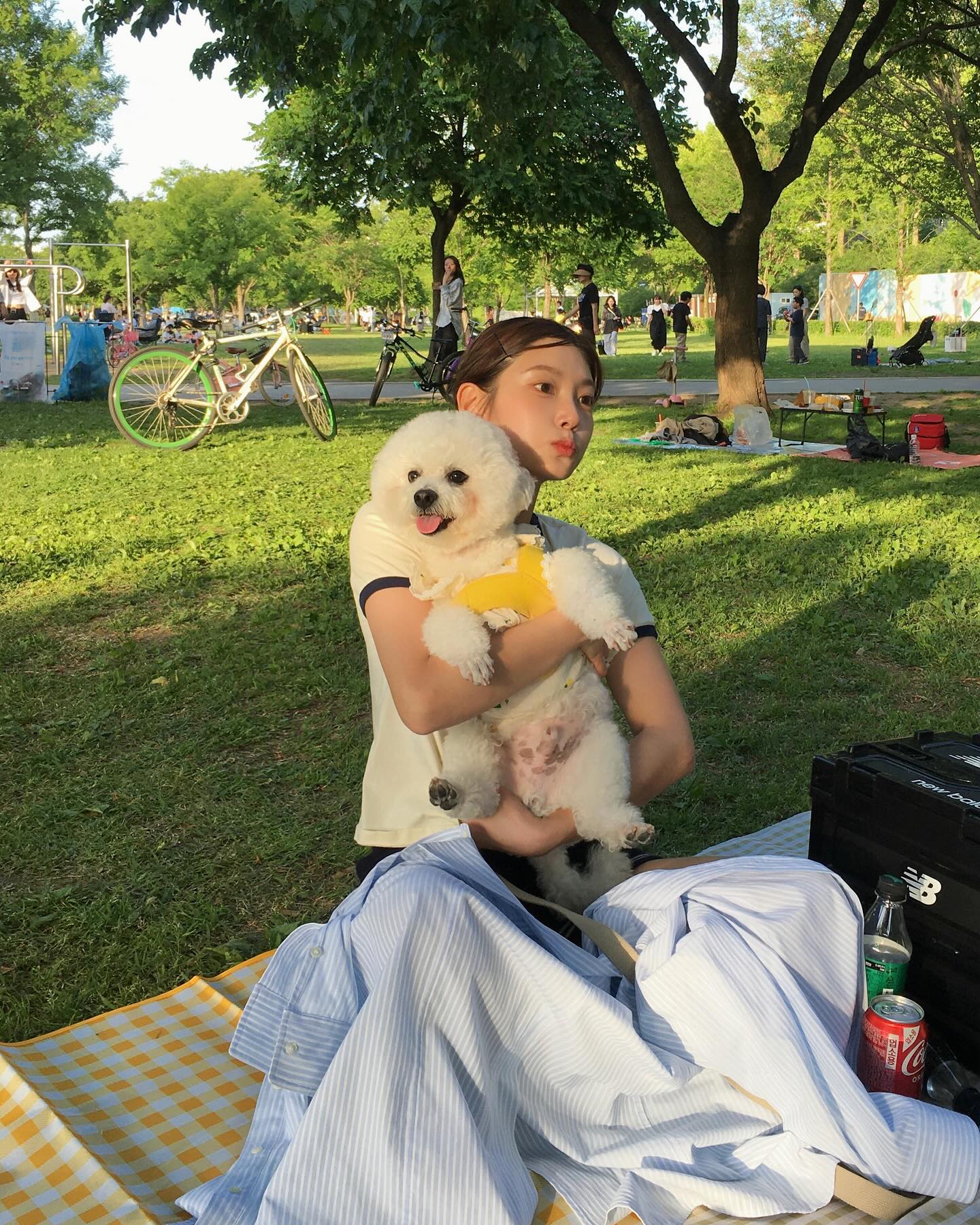 주말엔 반려견과 나들이룩 입자🐕🐾 이미지