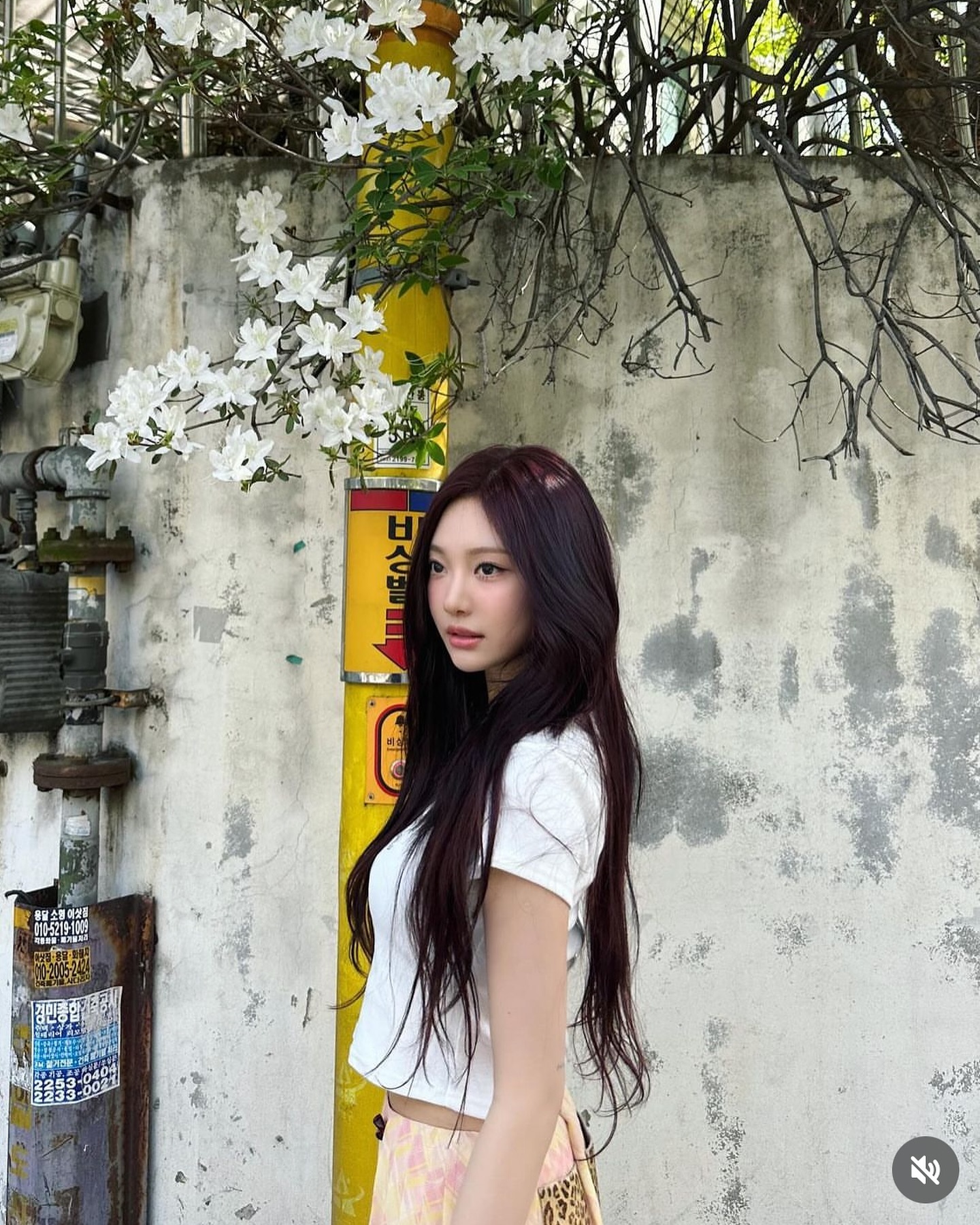 러블리힙이 추구미라면 주목👀🎀
셀럽들이 즐겨 입는 브랜드, 쓰리타임즈✨💖

1. 뉴진스: Cheery skirt 15만 1천 원.

2. 장원영: Annie top 8만 2천 원.

3. 윤이재: Vine heart tee & Cheery skirt 4만 8천 원/ 15만 1천 원.

4. 조이: Acorn quilted backpack 25만 8천 원.

5. 닝닝: Pink burning tee 4만 5천 원.

6. 이서: Tagging tank top 3만 8천 원.

7. 윤이재: Athletic slit skirt 7만 5천 원. 이미지5
