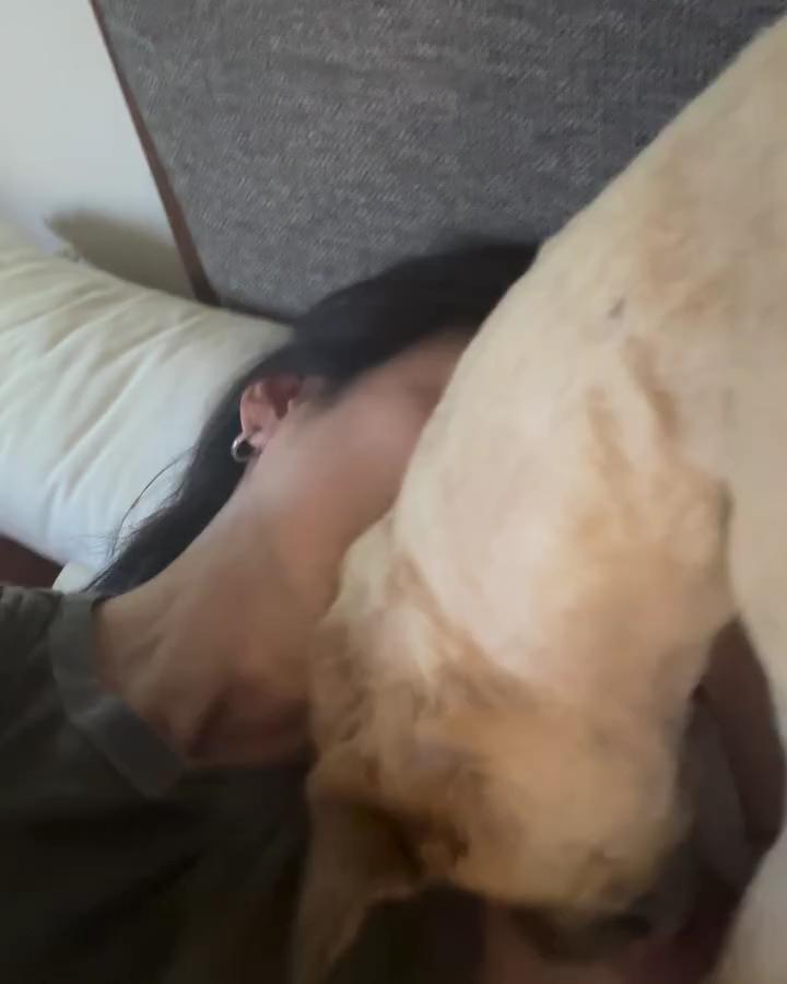 오늘은 행복한 세계 개의 날🐶🤎

오늘은 바로 세계 개의 날 “World Dog Day”! 이날은 동물 복지 및 동물 행동 전문가 콜린 페이지에 의해 만들어진 날으로, 모든 개들에 대한 인식을 개선하고 유기견 보호소에 있는 많은 반려견들을 널리 알리기 위해 시작됐는데요. 유기견을 입양하고 함께 행복한 일상을 보내고 있는 셀럽들을 살펴보세요! 이미지