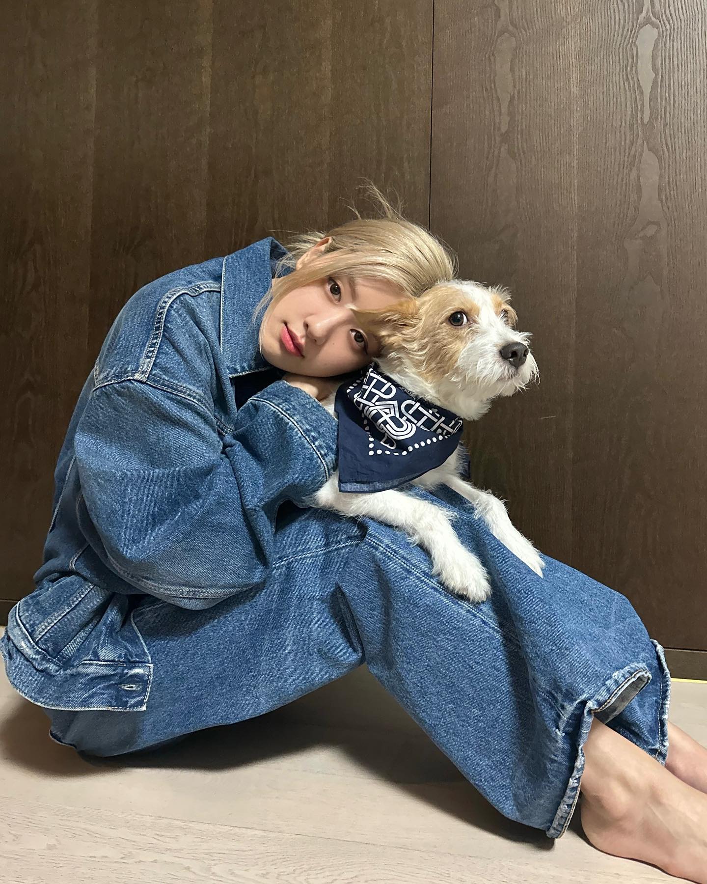 오늘은 행복한 세계 개의 날🐶🤎 이미지