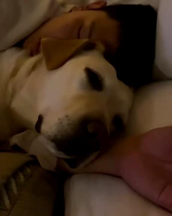 오늘은 행복한 세계 개의 날🐶🤎

오늘은 바로 세계 개의 날 “World Dog Day”! 이날은 동물 복지 및 동물 행동 전문가 콜린 페이지에 의해 만들어진 날으로, 모든 개들에 대한 인식을 개선하고 유기견 보호소에 있는 많은 반려견들을 널리 알리기 위해 시작됐는데요. 유기견을 입양하고 함께 행복한 일상을 보내고 있는 셀럽들을 살펴보세요! 이미지