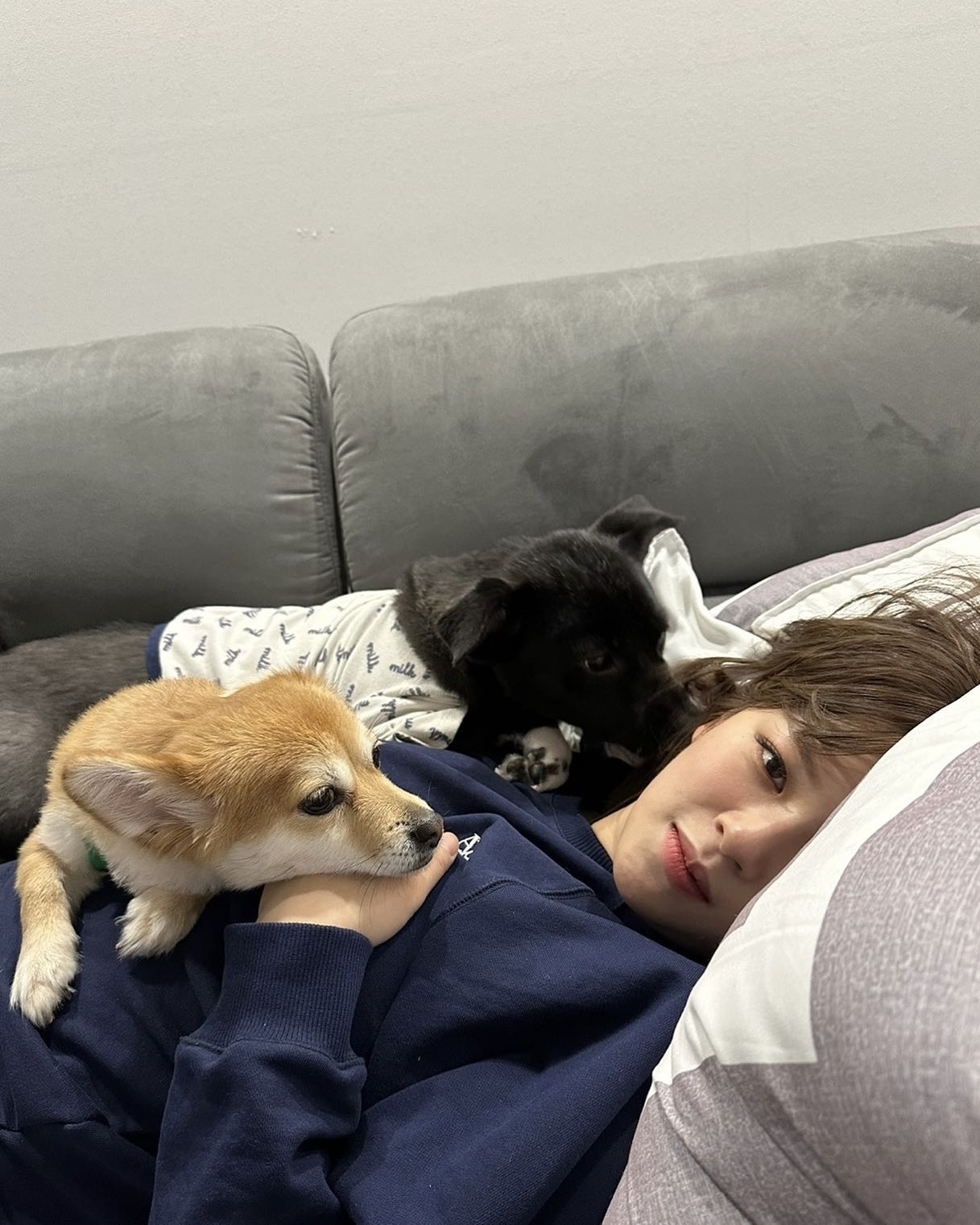 오늘은 행복한 세계 개의 날🐶🤎

오늘은 바로 세계 개의 날 “World Dog Day”! 이날은 동물 복지 및 동물 행동 전문가 콜린 페이지에 의해 만들어진 날으로, 모든 개들에 대한 인식을 개선하고 유기견 보호소에 있는 많은 반려견들을 널리 알리기 위해 시작됐는데요. 유기견을 입양하고 함께 행복한 일상을 보내고 있는 셀럽들을 살펴보세요! 이미지9