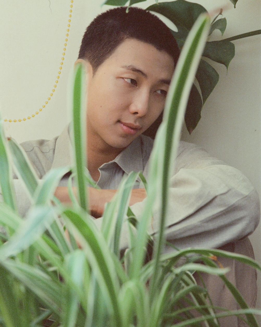 RM 이미지