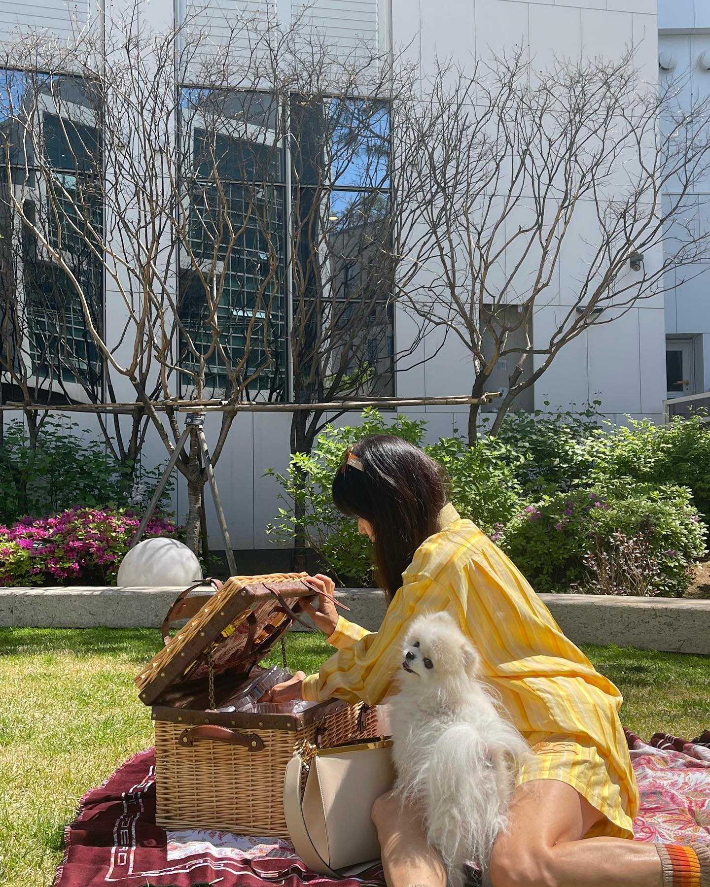 소풍가기 딱 좋은 선선한 날씨☀️🧺
이번 주말엔 피크닉 가자👒 이미지1