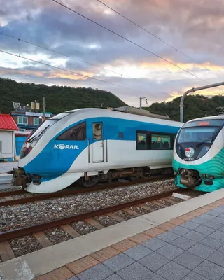 동해안 따라 기차여행하자🚇
이제 부산에서 강릉까지 동해안을 따라 쭉 열차 여행을 할 수 있게 됐습니다. 바로 경북 포항~강원 삼척을 잇는 동해선이 개통했기 때문인데요.
올 연말에 최고 시속 150㎞인 'ITX-마음' 열차를 먼저 운행하고 추후에 수요를 봐서 더 빠른 'KTX-이음' 열차도 운행할 예정이라고 합니다.
한편, 이번에 운행 시작하는 'ITX-마음'은 강릉에서 부산까지 3시간 50분 걸린다고 하네요. 이미지