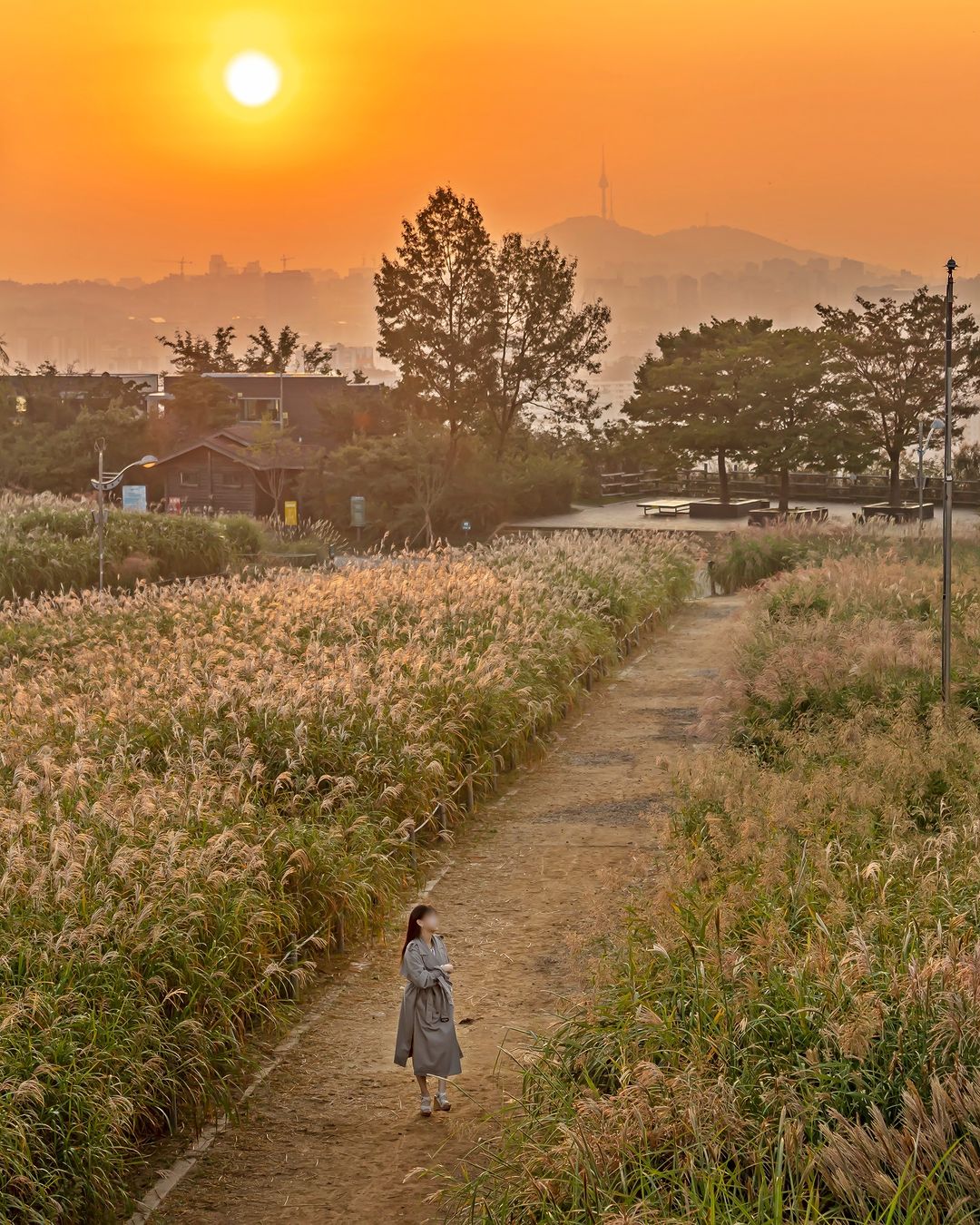 이번 가을, 하늘공원 억새밭에서 느낄 수 있는 특별한 순간🌾✨

오는 11월 3일까지만 만날 수 있는 절경이 있습니다. 바로 하늘공원 억새밭인데요. 가을의 정취를 가득 담은 억새들이 6만평에 펼쳐져 바람에 은빛 물결을 이루는 풍경은 그야말로 압도적입니다. 이 멋진 순간을 놓치지 않으려면 하늘공원을 꼭 방문해야 합니다. 특히 10월 19일 부터 25일까지는 <억새, 바람을 품다> 축제가 열려 더욱 특별한 경험을 할 수 있습니다. 음악에 맞춰 형형색색 레이저 조명으로 장관을 연출하는 '억새바람 불빛공연', '억새 꽃다발 만들기', 축제 굿즈를 받을 수 있는 '스탬프투어' 등 축제 기간동안 다양한 체험과 즐길거리가 가득합니다. 이번 주말, 하늘공원 억새밭을 배경으로 가을 감성을 만끽하며 추억을 남겨보세요.📸

[하늘 공원 억새밭]
- 축제 기간: 10월 19일~25일
- 억새밭 관람 기간: 11월 3일까지
- 장소: 서울 월드컵공원 내 하늘공원 이미지