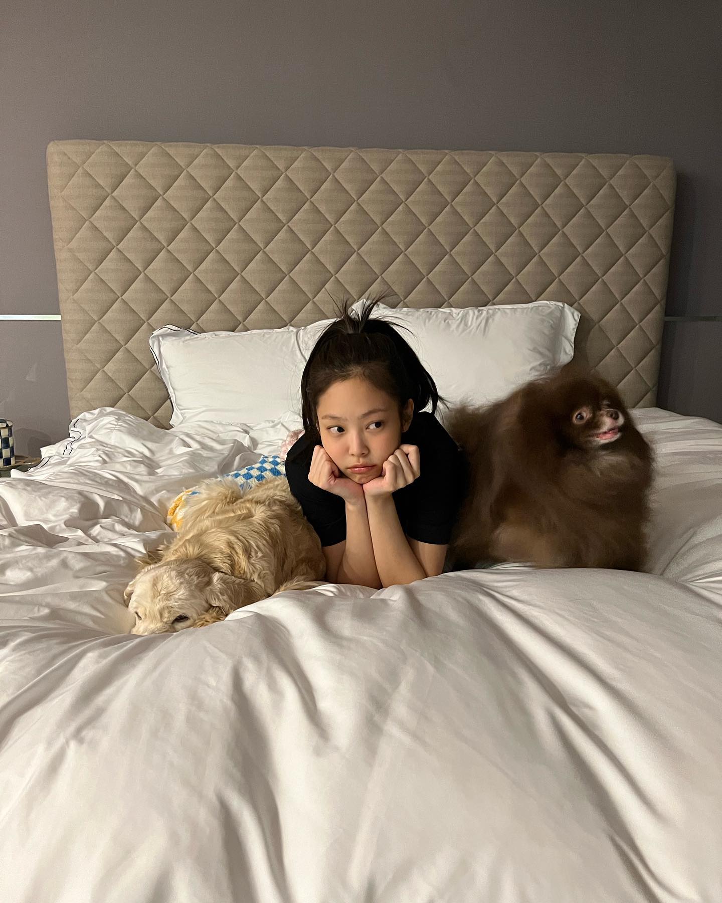 '억'소리나는 제니 침대🛏️✨
최근 컴백한 제니💕 영앤리치 제니는 어떤 침대에서 잘까요?

제니의 침대는 바로 세계 3대 명품 침대로 알려진 스웨덴의 '헤스탠스' 침대인데요. 이 침대는 1억 7천만 원을 호가하며, 스웨덴 왕실이 공식 인증한 브랜드로 유명하죠. 개인의 체형과 수면 패턴, 자세에 맞춰 오더메이드 방식으로 제작되며, 코튼, 울, 말총 등 천연 소재를 사용해 쾌적한 수면 환경을 제공합니다. 특히 충전재로 사용되는 말총은 공기 순환과 온도 조절을 도와준다고 해요. 침대 하나를 만드는데 장인 10명이 투입되고, 제작 기간만도 무려 25일이 걸린답니다.

헤스탠스에서 가장 비싼 모델인 '그랜드 비비더스'는 5억 원부터 시작하고, 모든 옵션을 더하면 12억까지 달한다고 하는데요. 베컴 부부, 브래드 피트, 톰 크루즈, 안젤리나 졸리 등 유명 인사들이 이 침대를 사용하고 있다고 하네요. 합리적인 모델인 '마링가'는 3천만 원이라고 합니다. '숙면', 이제 돈으로 사세요💵

이외에도 제니가 에이스 침대 모델로 활동하며 에이스 침대에서 찍은 사진도 포착되었는데요. 에이스 침대역시 편안함과 기술력으로 유명하지만, 제니가 선택했던 헤스탠스 침대는 그만의 특별한 매력과 럭셔리함이 돋보이는 것 같네요. 이미지