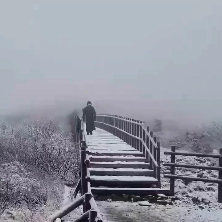 벌써 설악산에 찾아온 첫눈❄️🥶

지난 주말 사이 기온이 크게 떨어지면서 강원 설악산에는 첫눈이 내렸습니다. 설악산국립공원사무소에 따르면 지난해보다 이틀 빠르게 찾아온 이번 첫눈은 19일 저녁부터 20일 오전까지 내렸고, 약 1cm 적설을 기록했는데요. 당시 기온은 영하 2.6도를 기록했고, 강한 바람이 불면서 체감온도는 영하 10도까지 내려갔다고 합니다. 이미지
