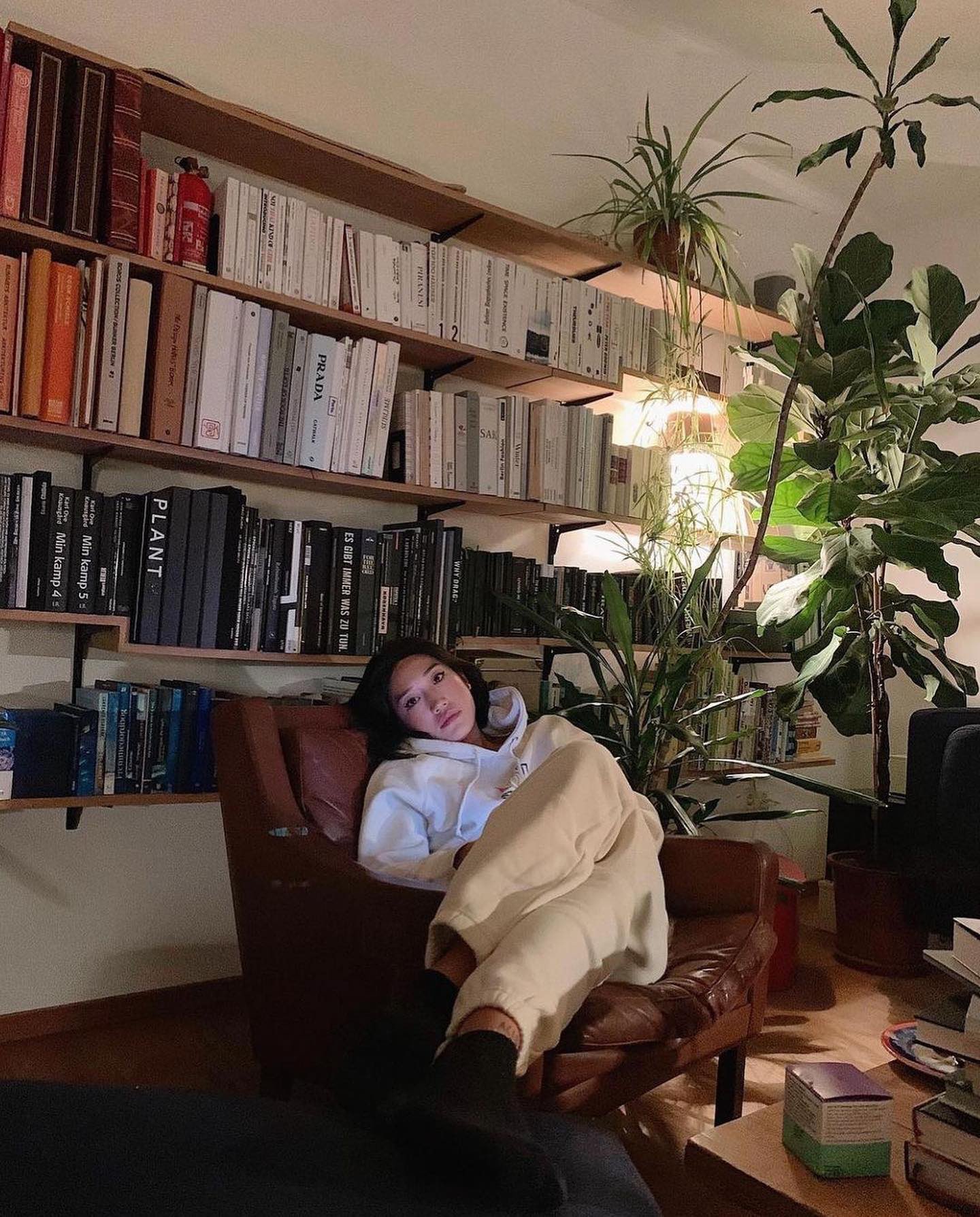 카펫, 벨벳 활용한🧶🏠페기구 홈스타일링 @배워보자📄 이미지