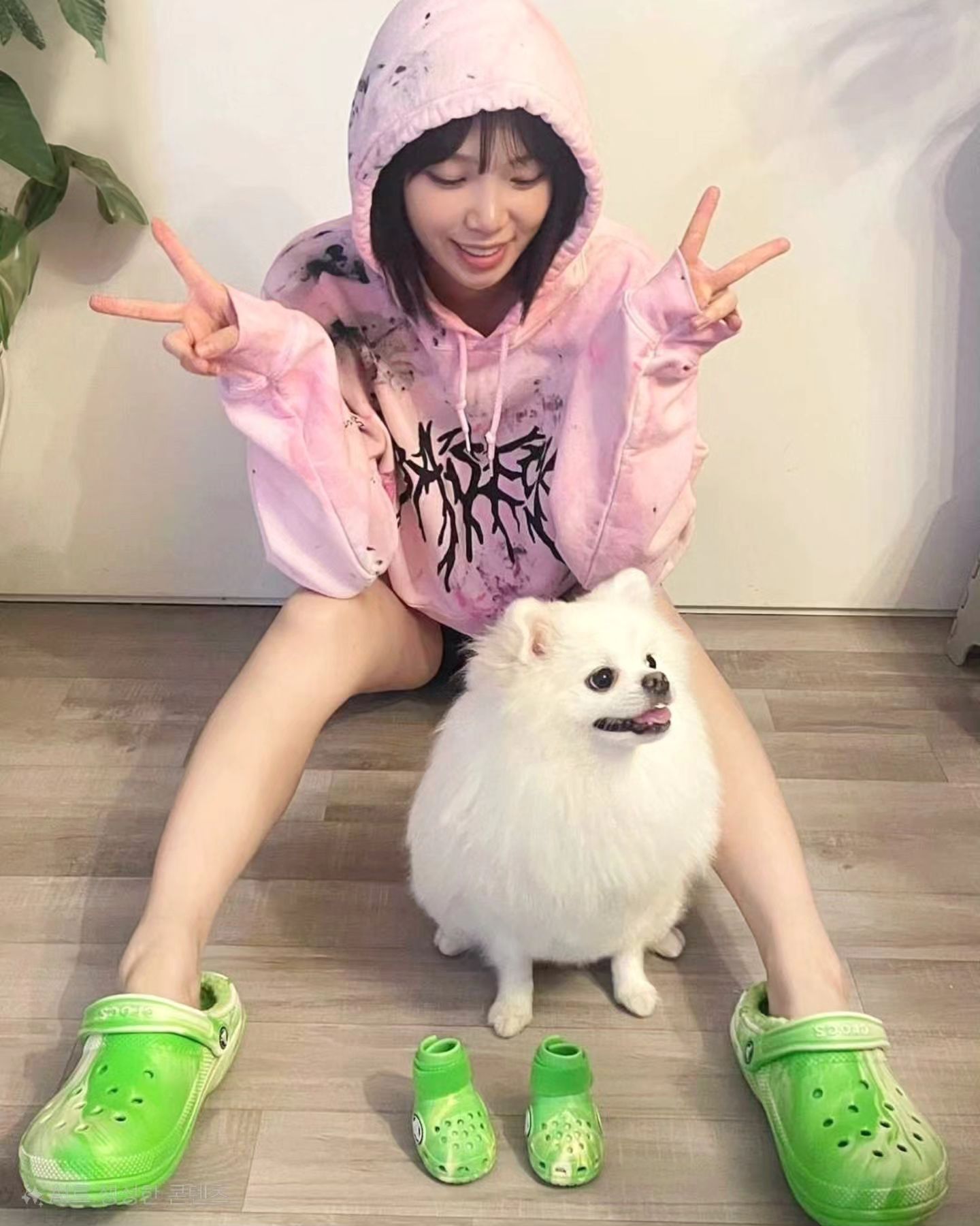 김채원 이미지