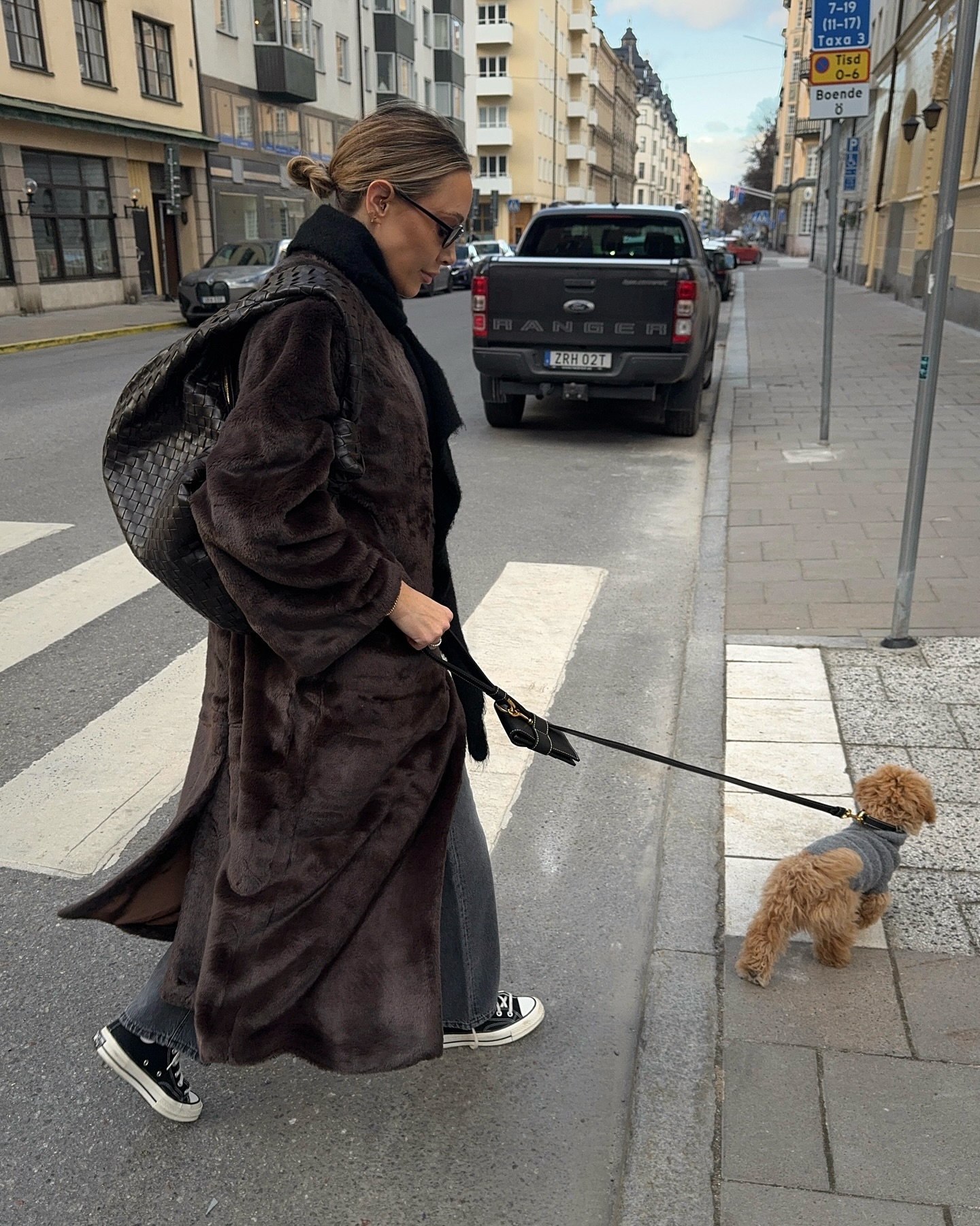 추워도 댕댕이 산책은 가야지🐶🐾 이미지