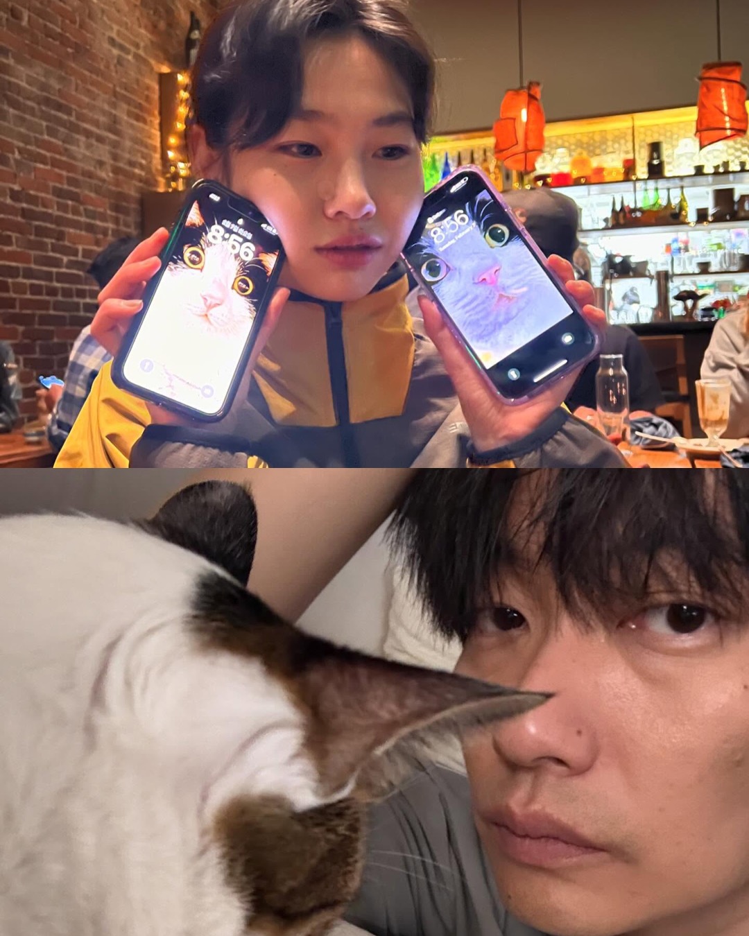 이동휘·정호연, 9년 만에 결별

연예계 공식 커플로 오랫동안 사랑받아온 배우 이동휘와 정호연이 9년 간의 열애 끝에 결별을 맞이했습니다.

2016년 열애를 인정했던 두 사람은 본업에 충실하면서도 공식 석상에서 서로에 대한 애정을 숨기지 않는 호탕한 모습을 보여줬는데요.

9년 간 사랑을 키워오며 대표적인 연예계 장수 커플로 사랑 받아온 두 사람은 이제 각자의 자리로 돌아갔습니다. 이미지