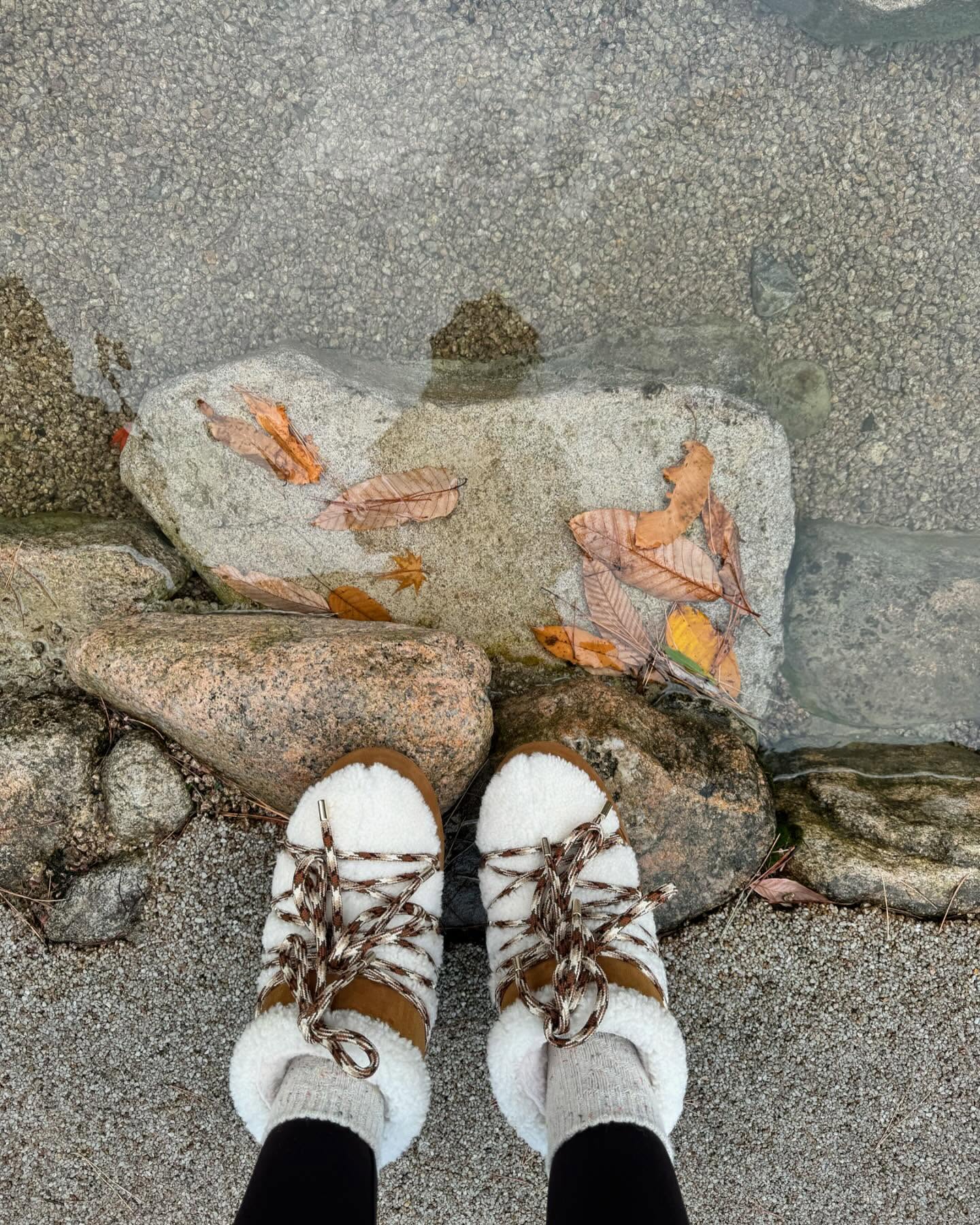 지금 제일 필요한 건🤎어그부츠
겨울엔 어그 신고 눈 뽀득뽀득 밟아야지❄️🩵 이미지