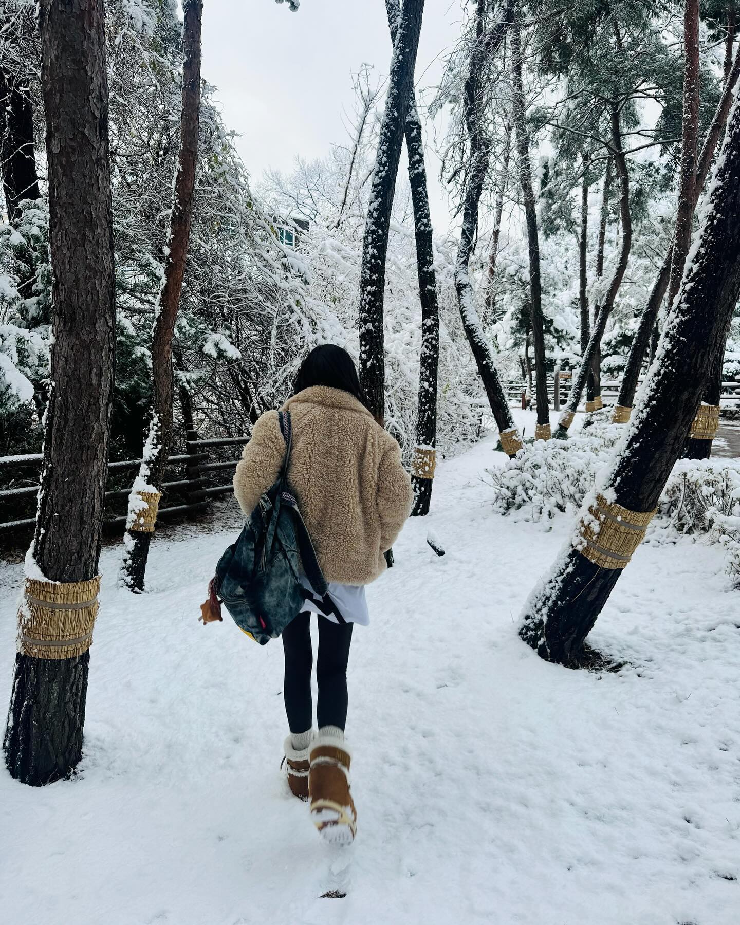 지금 제일 필요한 건🤎어그부츠
겨울엔 어그 신고 눈 뽀득뽀득 밟아야지❄️🩵 이미지7