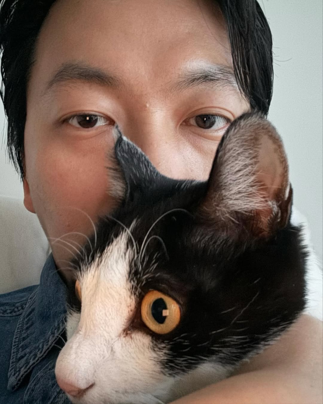 모여봐요 동물의 숲🦁 이미지9
