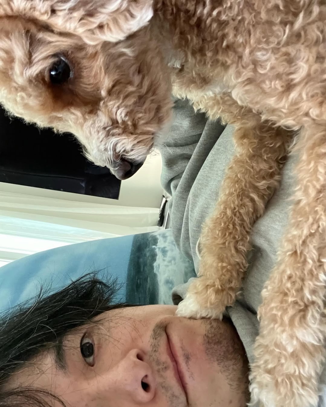모여봐요 동물의 숲🦁 이미지7