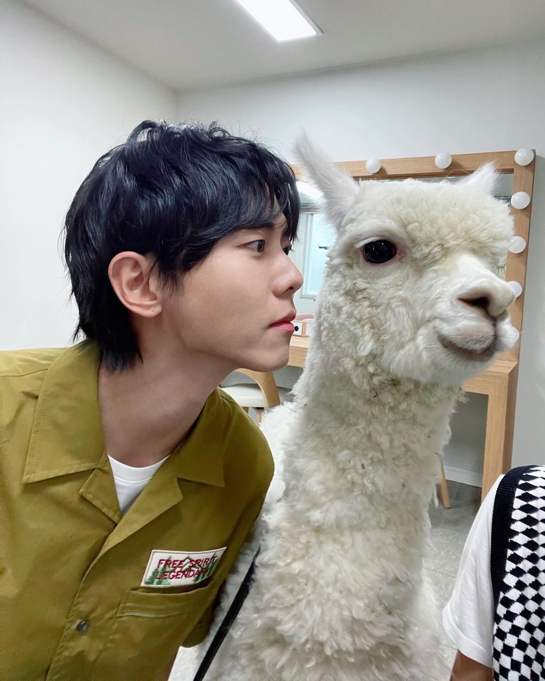 모여봐요 동물의 숲🦁 이미지4