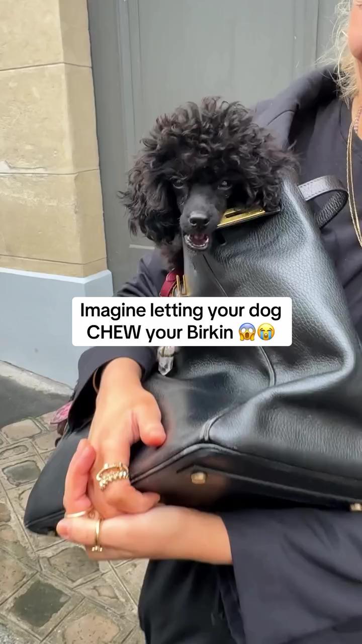 버킨백 지켜👜😭 이미지