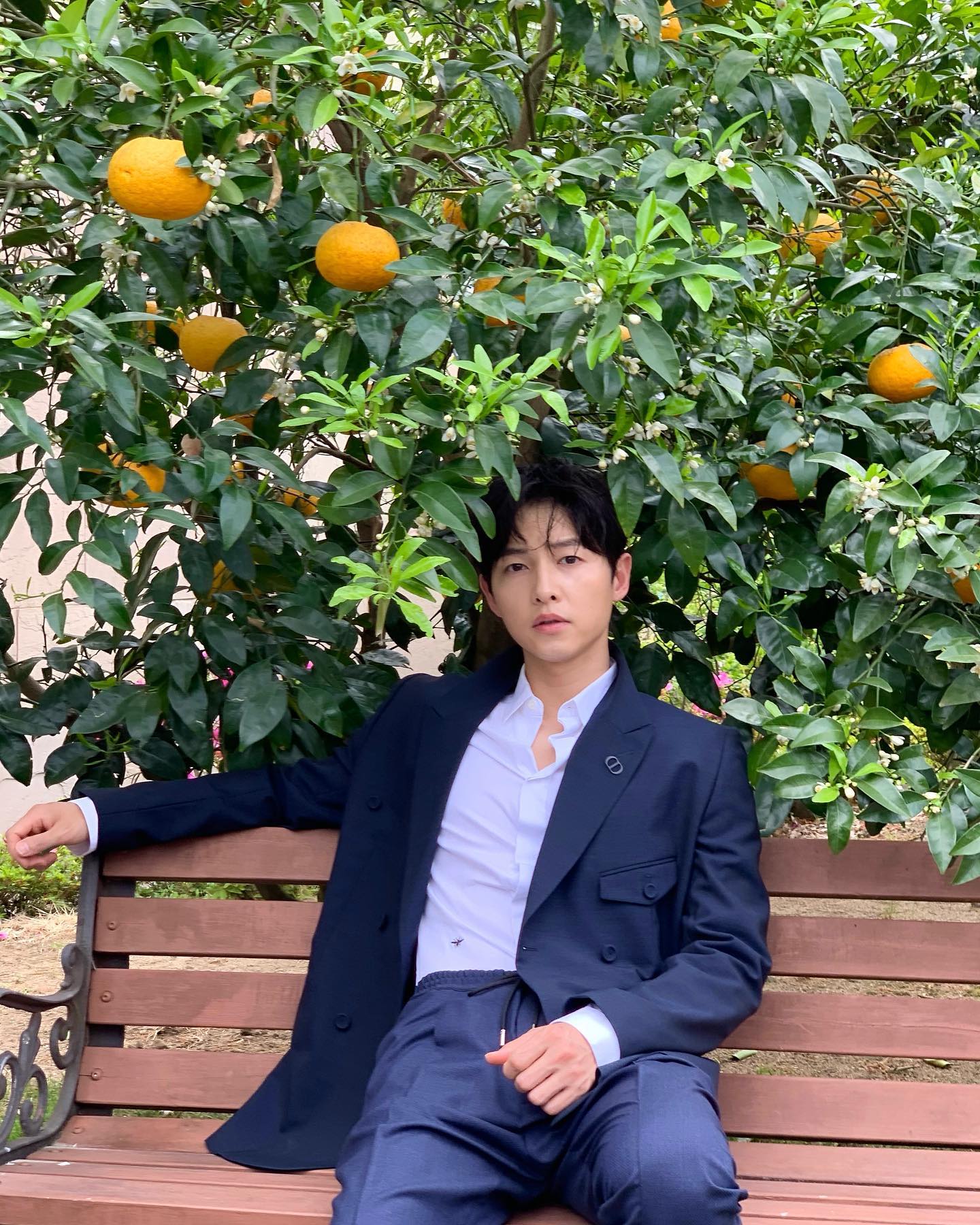 송중기, 9년만 예능 출연✨

YTN 단독 보도에 따르면 송중기가 냉장고를 부탁해에 출연한다고 전했습니다. 송중기는 두 번째 녹화에 게스트로 참여하며, 방송은 29일에 방영될 예정입니다.

이번 출연은 약 9년 만의 예능 복귀로 화제를 모으며, 두 아이의 아빠가 된 송중기의 이야기도 들을 수 있을지 관심이 집중되고 있습니다. 이미지