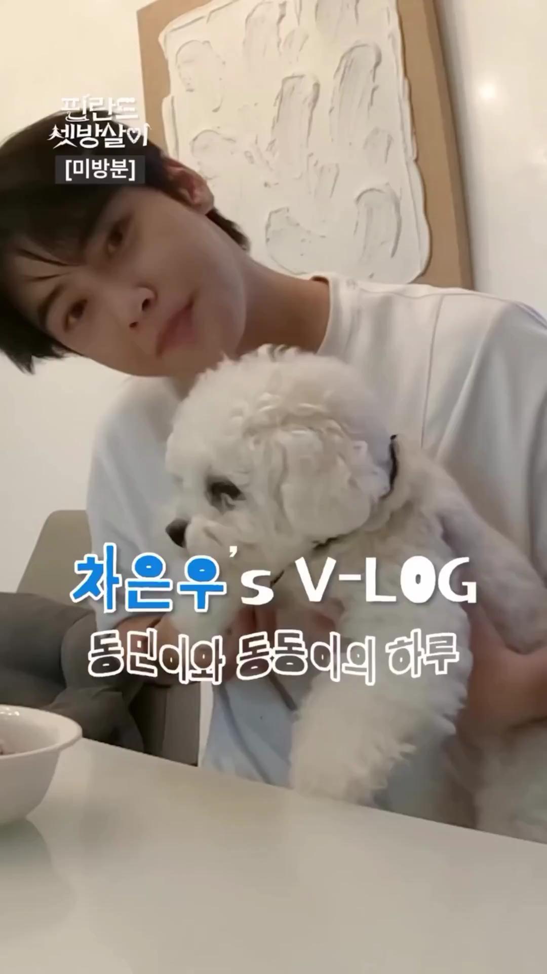 지나 칠 수 없는 은우 강아지 조합🐶 이미지