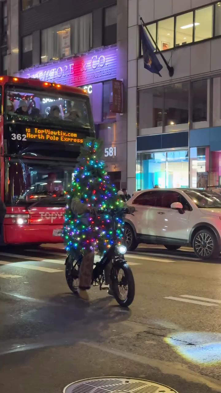 인간 트리 등장🎄
뉴욕은 신기한 도시야 이미지