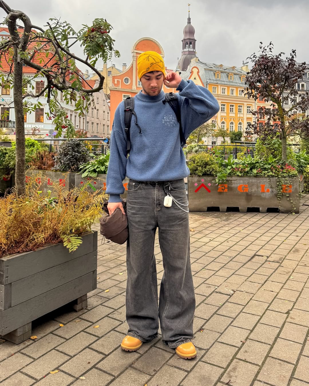 시조새 색깔 모아보기🦅 이미지