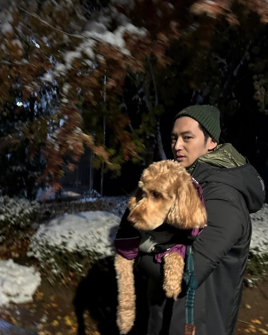 묘하'개' 닮은 사이🐶 이미지9