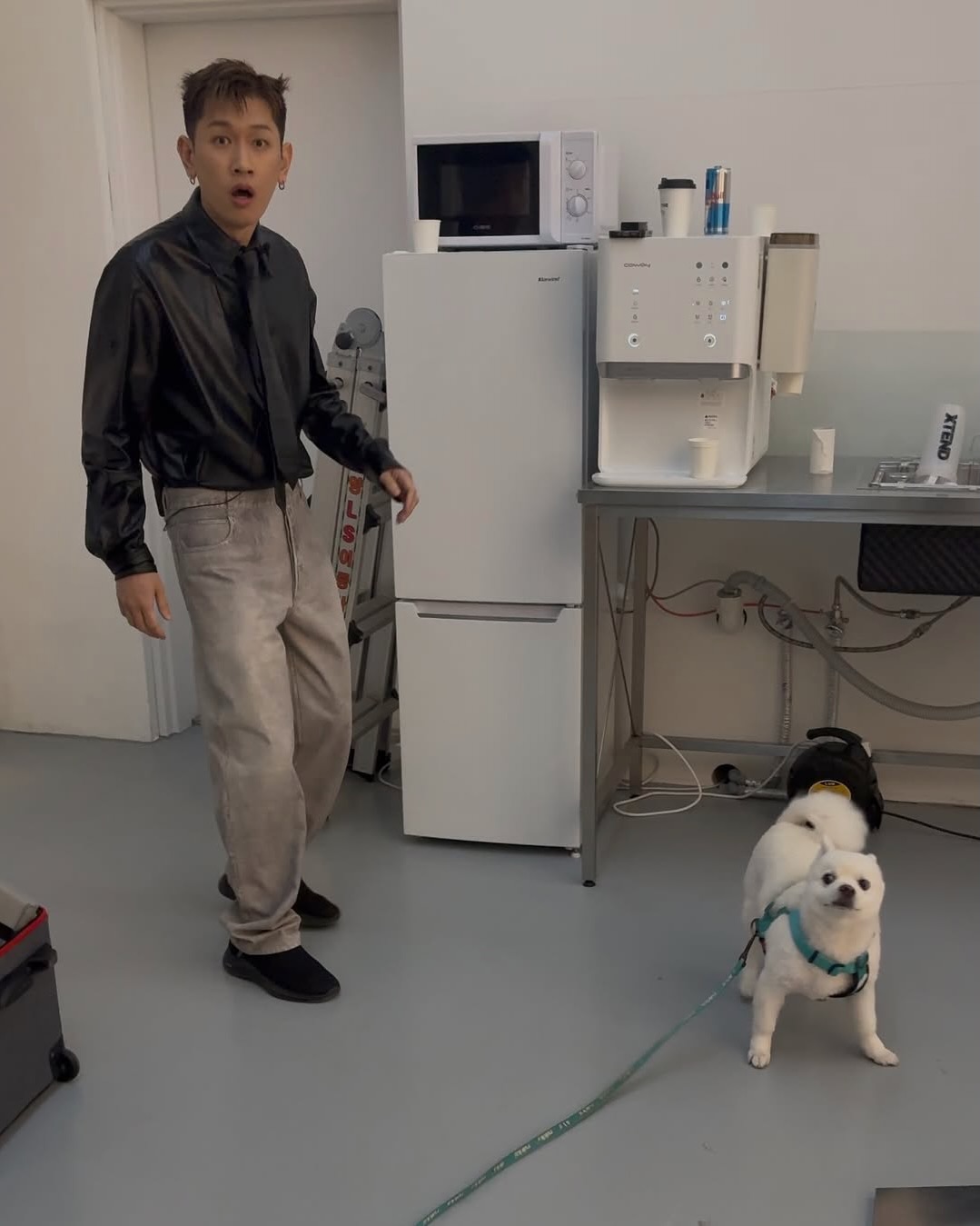 묘하'개' 닮은 사이🐶 이미지3