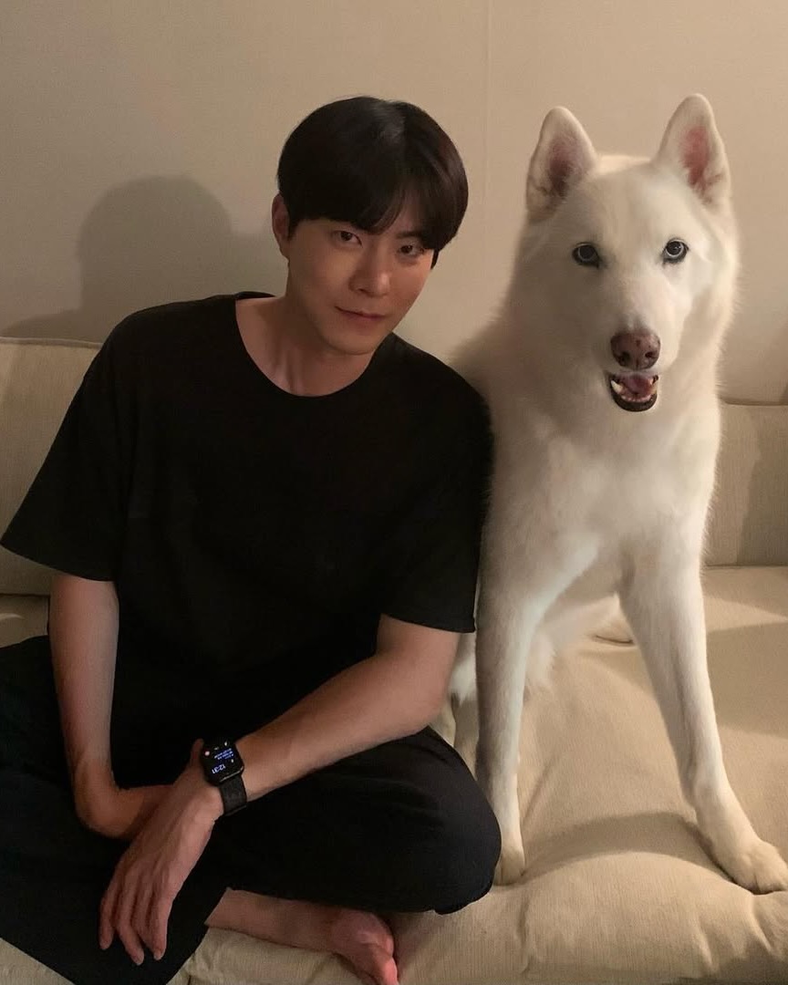 묘하'개' 닮은 사이🐶 이미지4