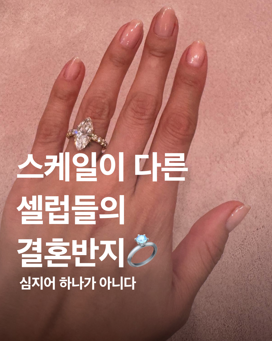 그들이 사는 세상😱 이미지