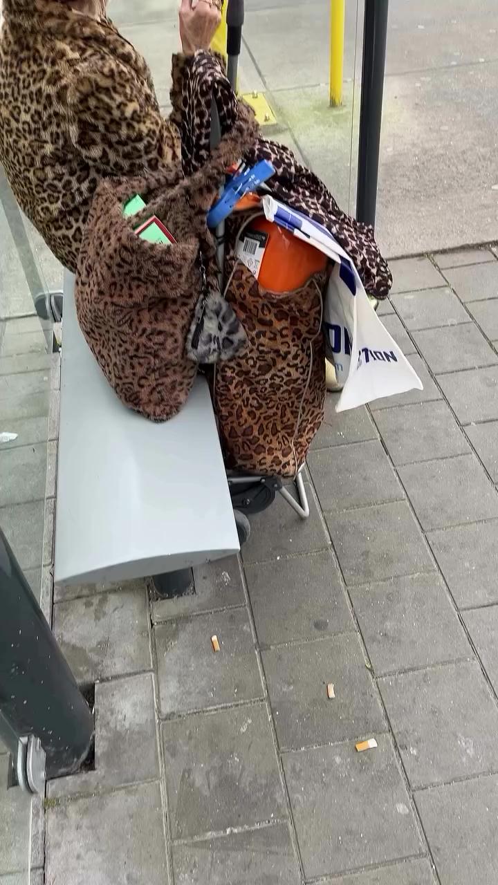 치타 한 마리 할머니🐆💛퍼 패션 이미지