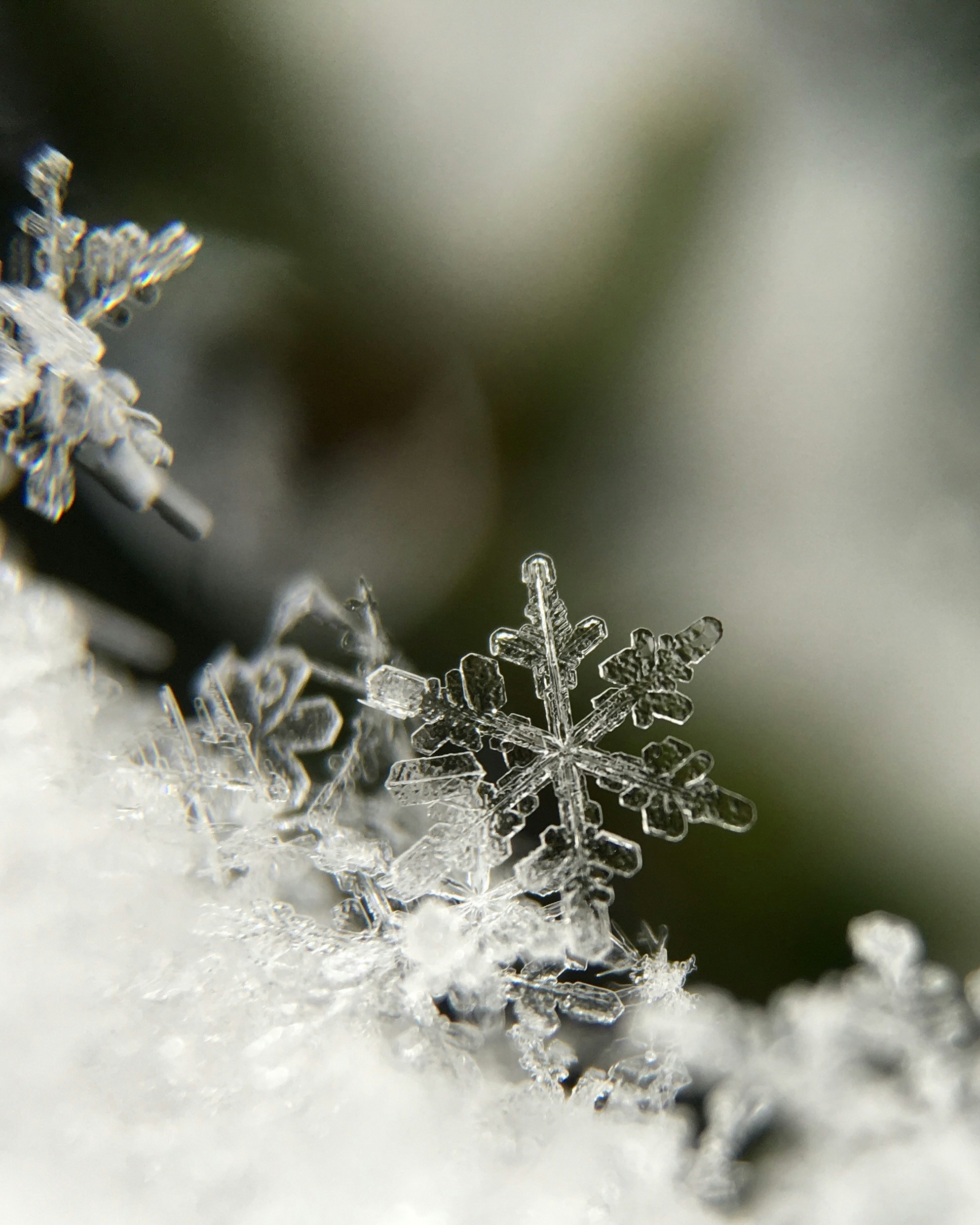 크리스마스 이브에는 추위 대비❄️

크리스마스 이브인 내일(24일)은 중부 내륙과 강원산지, 경북 내륙 등을 중심으로 아침 기온이 영하 10도 이하로 떨어집니다. 경기 북부와 동부, 강원내륙·산지, 충북중·북부 등 지역에는 한파특보가 발효된 상태인데요. 24일 아침 최저기온은 -15∼2도, 낮 최고기온은 -1∼10도로 전망됩니다.

이번 성탄절은 '화이트 크리스마스'를 보내기는 어려울 듯 하나, 25일 저녁부터 수도권과 강원중북부 내륙·산지, 충청권에는 0.1㎜ 미만 빗방울이 떨어지거나 0.1㎝ 미만 눈이 날리는 곳이 있어, 조금은 기대해봐도 좋겠습니다. 이미지