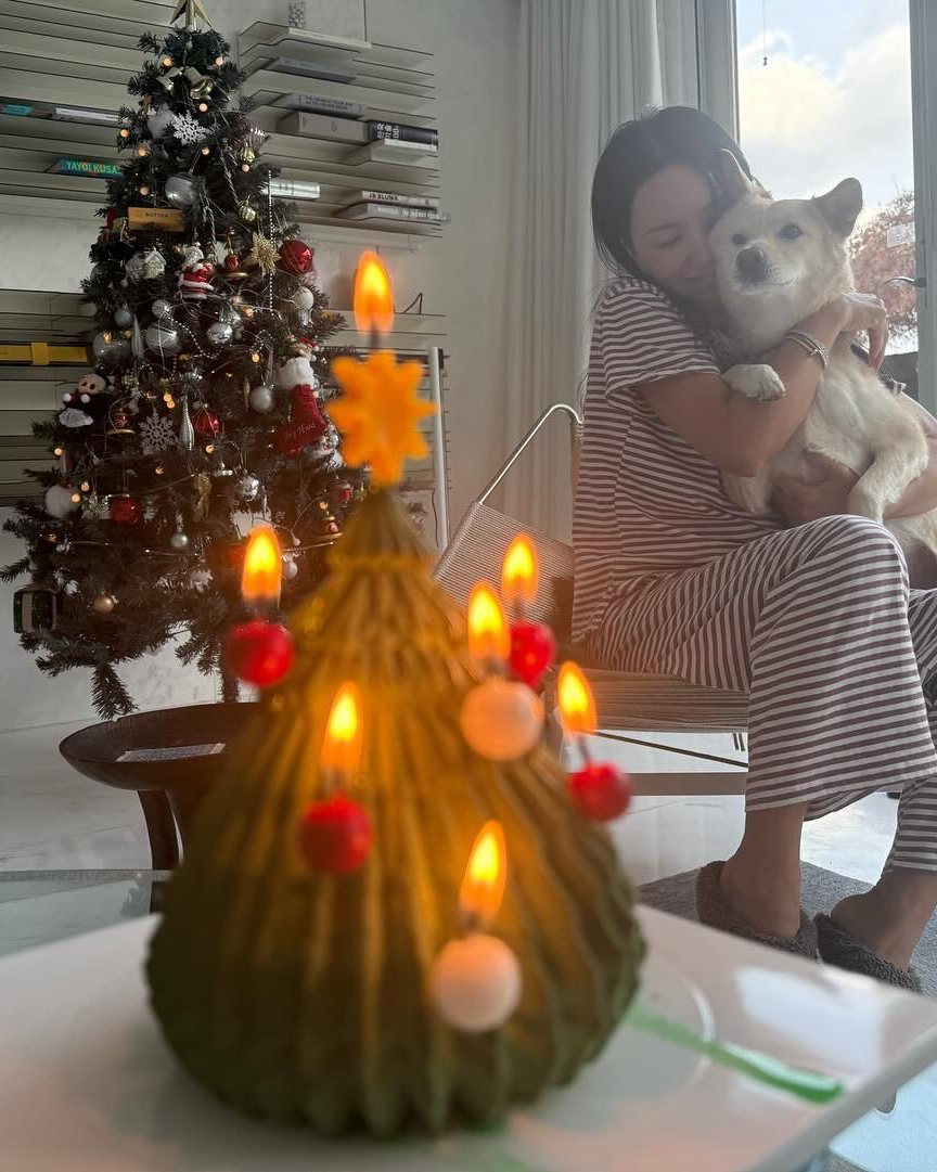 셀럽의 크리스마스는 어땠을까?🎅🏻
속아줄테니까 다시 돌아와주라 @크리스마스..🎄🥹 이미지4