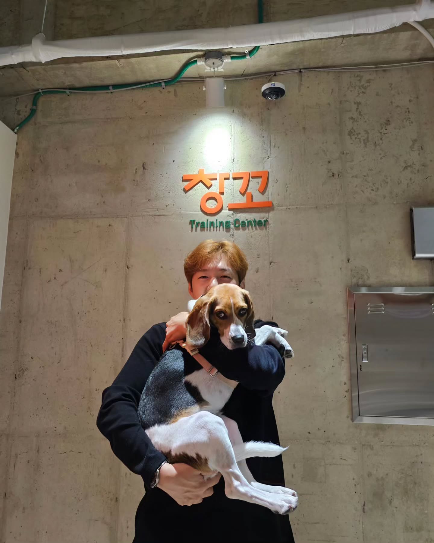 반려동물과 똑 닮은 우리💕

산책 중 강아지와 견주가 묘하게 닮아 보인 적 있으신가요? '사랑하면 닮는다'는 말처럼, 반려동물과 점점 더 닮아지는 경우가 많죠. 그래서 준비한, 반려동물과 똑 닮은 셀럽들을 소개합니다. 여러분의 반려동물은 얼마나 닮았나요?🐶😽

1. 크러쉬x두유
2. 로제x행크
3. 이현우x하늘이
4. 송혜교x루비
5. 이학주x모카
6. 육성재x삼이
7. 이창섭x구리
8. 리아x벨라
9. 김채원x시로 이미지7