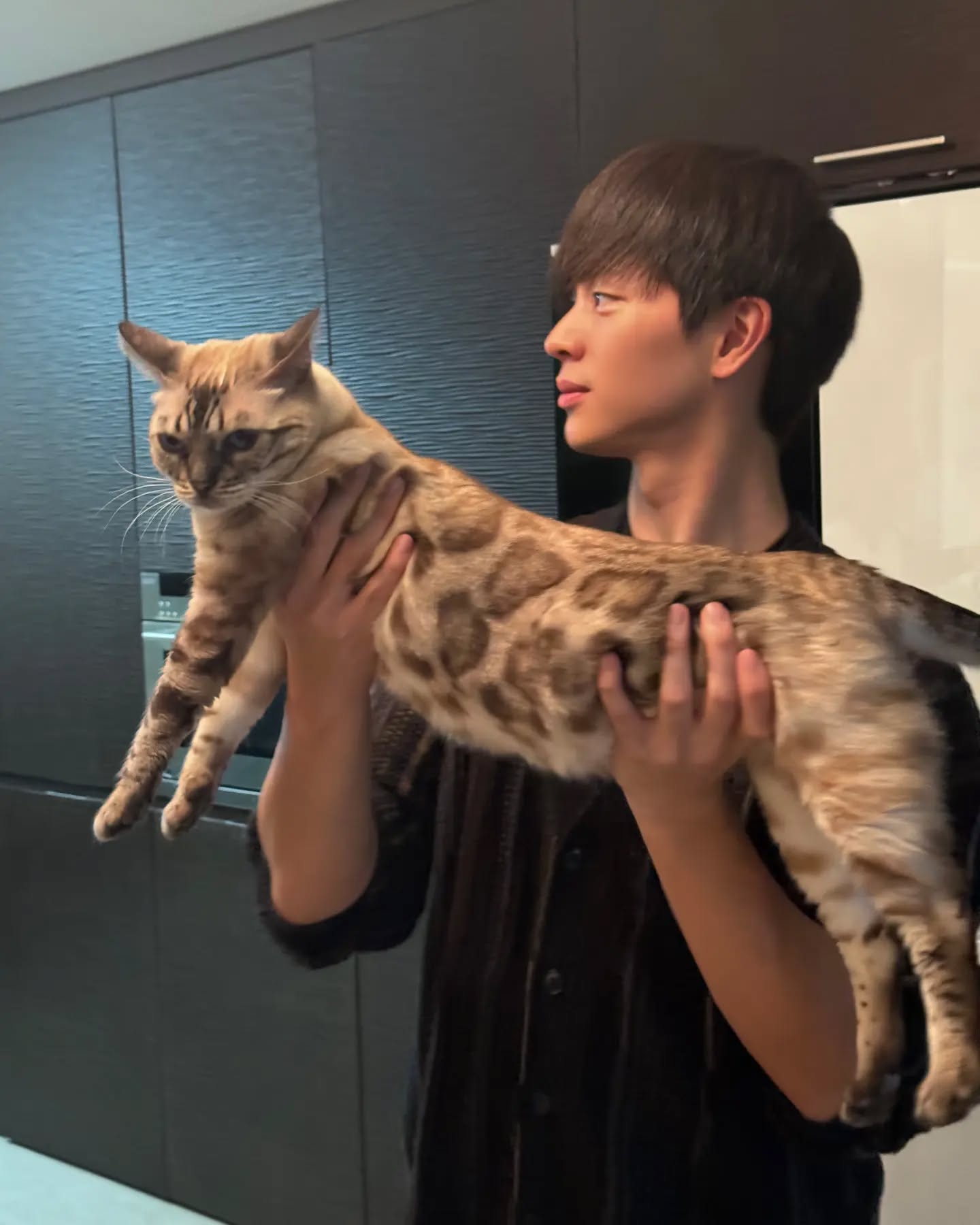 반려동물과 똑 닮은 우리💕

산책 중 강아지와 견주가 묘하게 닮아 보인 적 있으신가요? '사랑하면 닮는다'는 말처럼, 반려동물과 점점 더 닮아지는 경우가 많죠. 그래서 준비한, 반려동물과 똑 닮은 셀럽들을 소개합니다. 여러분의 반려동물은 얼마나 닮았나요?🐶😽

1. 크러쉬x두유
2. 로제x행크
3. 이현우x하늘이
4. 송혜교x루비
5. 이학주x모카
6. 육성재x삼이
7. 이창섭x구리
8. 리아x벨라
9. 김채원x시로 이미지6