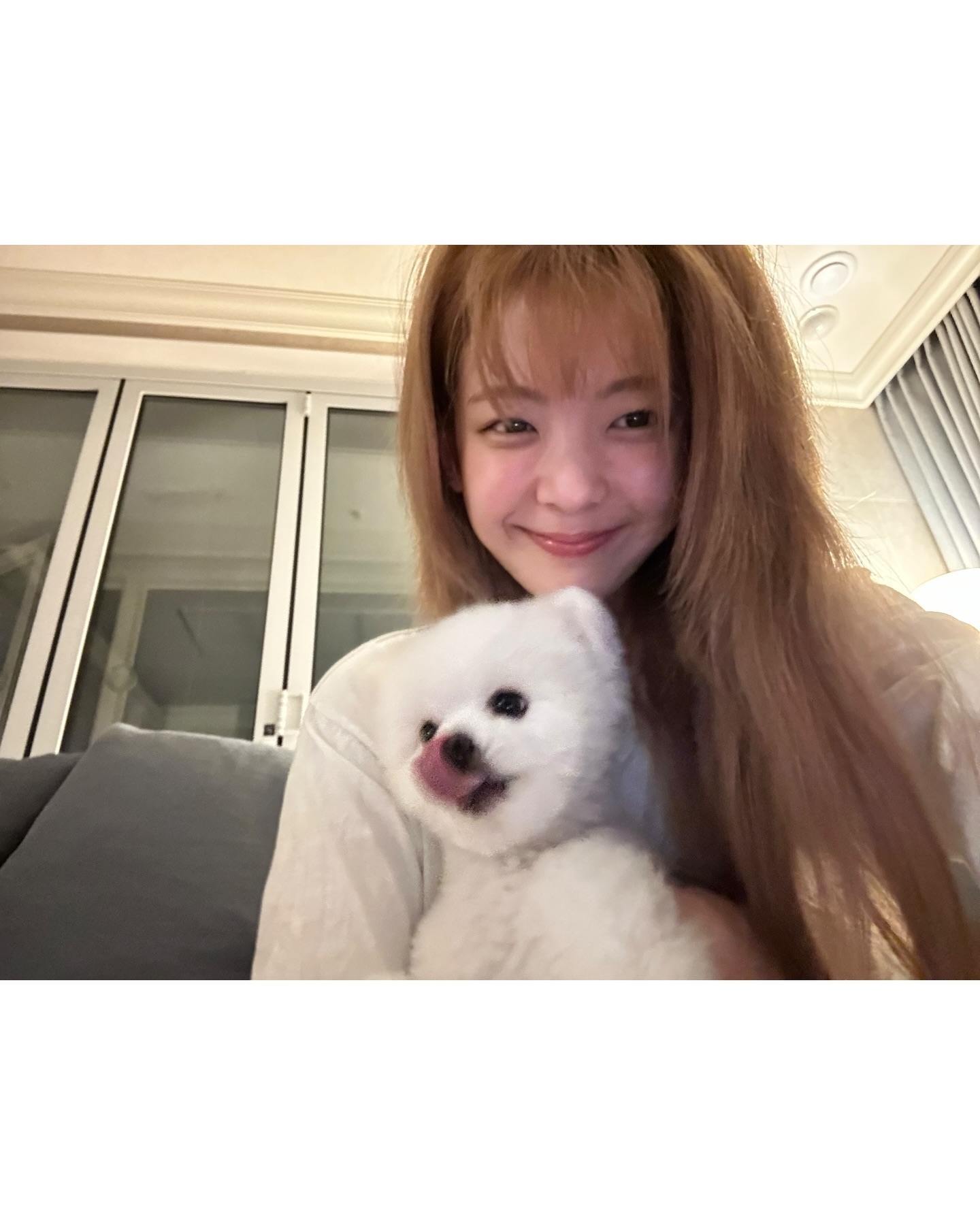 반려동물과 똑 닮은 우리💕

산책 중 강아지와 견주가 묘하게 닮아 보인 적 있으신가요? '사랑하면 닮는다'는 말처럼, 반려동물과 점점 더 닮아지는 경우가 많죠. 그래서 준비한, 반려동물과 똑 닮은 셀럽들을 소개합니다. 여러분의 반려동물은 얼마나 닮았나요?🐶😽

1. 크러쉬x두유
2. 로제x행크
3. 이현우x하늘이
4. 송혜교x루비
5. 이학주x모카
6. 육성재x삼이
7. 이창섭x구리
8. 리아x벨라
9. 김채원x시로 이미지8
