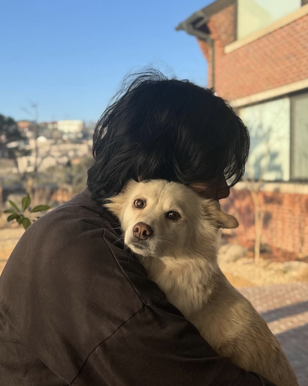 ❗️New 효리언니 근황❗️
꾸준한 유기견 봉사와 사랑하는 사람들과의 일상❤️

@친구야 우리도 유기견 봉사 가볼까?😎 이미지6