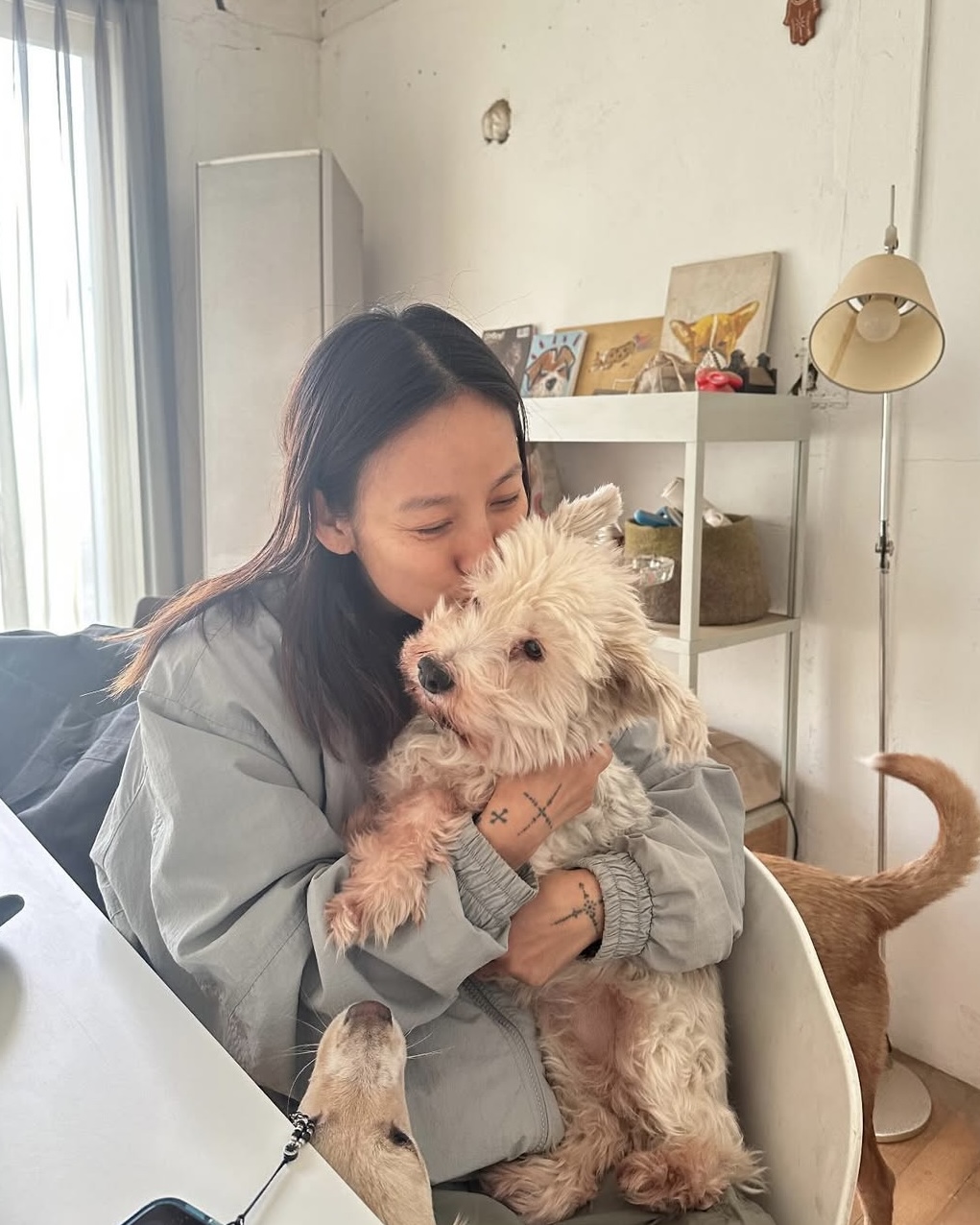 ❗️New 효리언니 근황❗️
꾸준한 유기견 봉사와 사랑하는 사람들과의 일상❤️

@친구야 우리도 유기견 봉사 가볼까?😎 이미지2